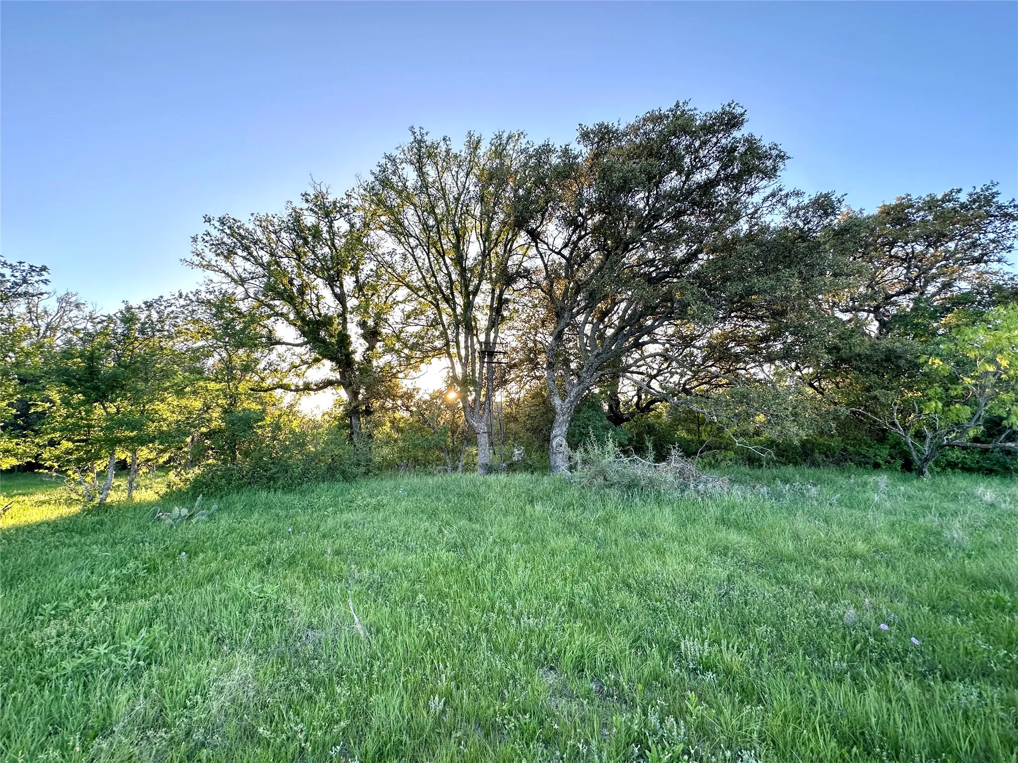 Ranch For Sale in Mills County , 11 County Road 191, Mullin, Texas 76864, 0, 0, Garage spaces, 0 Sqft, built in 0, mls#21365459, Real Estate Agent in Mullin, Homes For Sale in Mills county, Homes For Sale in Mullin, Realtor in Mullin Texas, Real Estate Brokerage Independent Realty Texas, Luminita Cordes Realtor