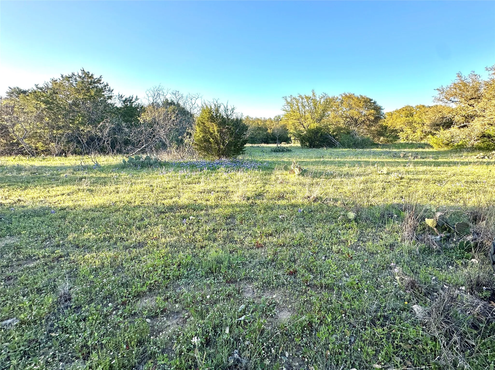 Ranch For Sale in Mills County , 11 County Road 191, Mullin, Texas 76864, 0, 0, Garage spaces, 0 Sqft, built in 0, mls#21365459, Real Estate Agent in Mullin, Homes For Sale in Mills county, Homes For Sale in Mullin, Realtor in Mullin Texas, Real Estate Brokerage Independent Realty Texas, Luminita Cordes Realtor