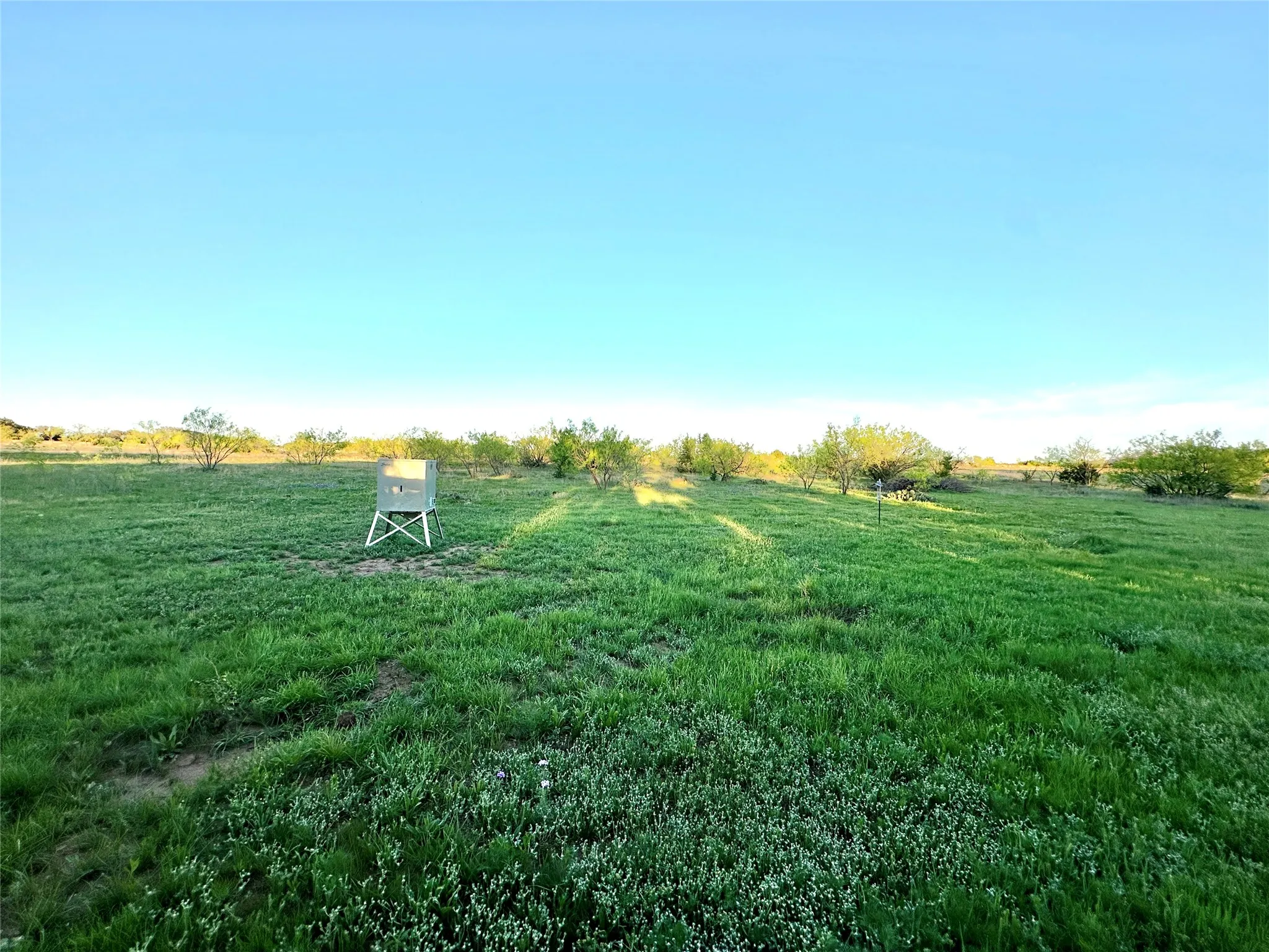 Ranch For Sale in Mills County , 11 County Road 191, Mullin, Texas 76864, 0, 0, Garage spaces, 0 Sqft, built in 0, mls#21365459, Real Estate Agent in Mullin, Homes For Sale in Mills county, Homes For Sale in Mullin, Realtor in Mullin Texas, Real Estate Brokerage Independent Realty Texas, Luminita Cordes Realtor
