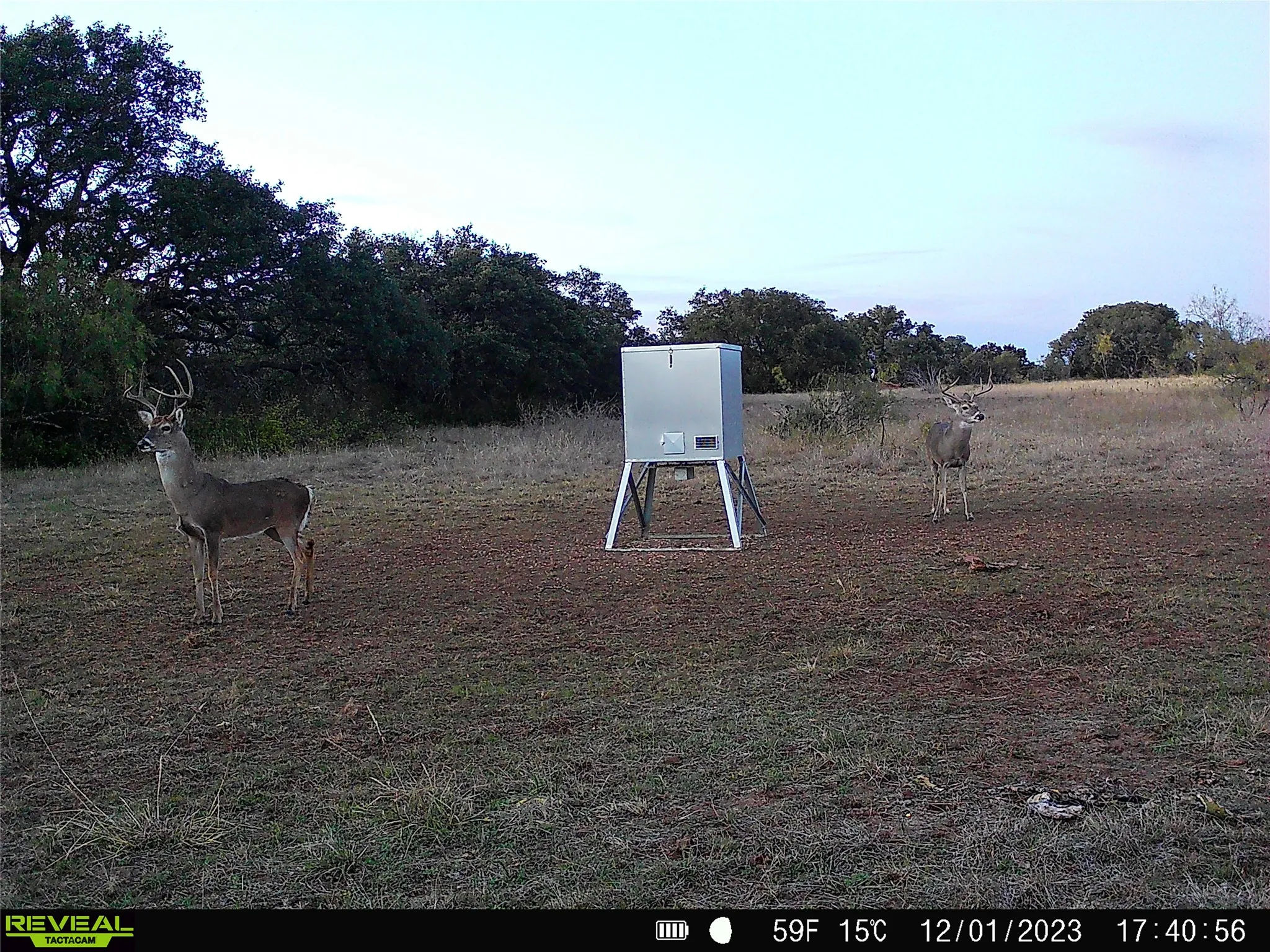 Ranch For Sale in Mills County , 11 County Road 191, Mullin, Texas 76864, 0, 0, Garage spaces, 0 Sqft, built in 0, mls#21365459, Real Estate Agent in Mullin, Homes For Sale in Mills county, Homes For Sale in Mullin, Realtor in Mullin Texas, Real Estate Brokerage Independent Realty Texas, Luminita Cordes Realtor