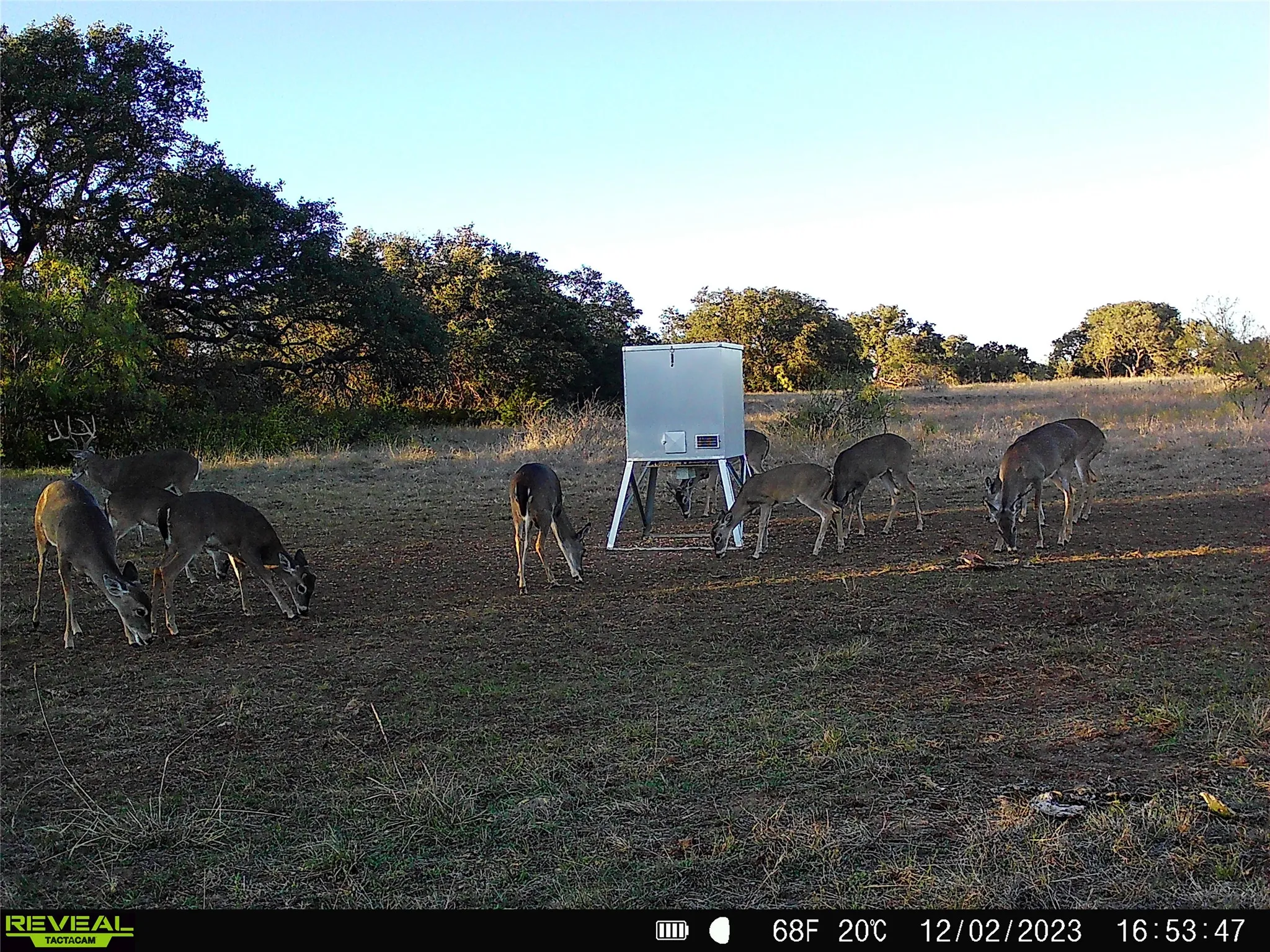 Ranch For Sale in Mills County , 11 County Road 191, Mullin, Texas 76864, 0, 0, Garage spaces, 0 Sqft, built in 0, mls#21365459, Real Estate Agent in Mullin, Homes For Sale in Mills county, Homes For Sale in Mullin, Realtor in Mullin Texas, Real Estate Brokerage Independent Realty Texas, Luminita Cordes Realtor
