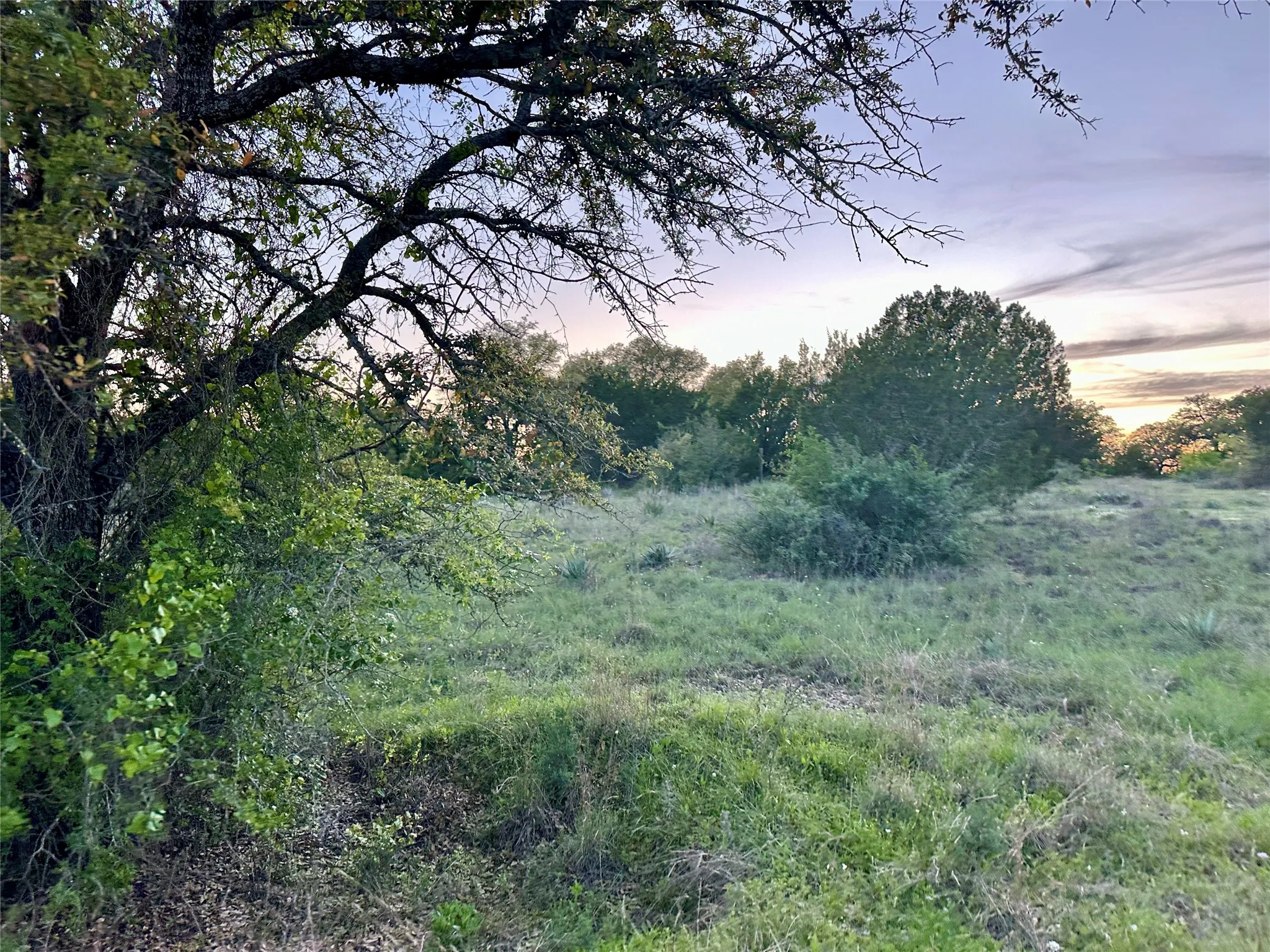 Ranch For Sale in Mills County , 11 County Road 191, Mullin, Texas 76864, 0, 0, Garage spaces, 0 Sqft, built in 0, mls#21365459, Real Estate Agent in Mullin, Homes For Sale in Mills county, Homes For Sale in Mullin, Realtor in Mullin Texas, Real Estate Brokerage Independent Realty Texas, Luminita Cordes Realtor