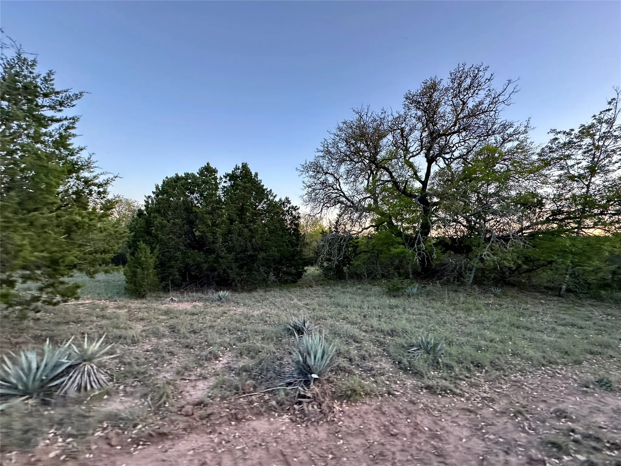 Ranch For Sale in Mills County , 11 County Road 191, Mullin, Texas 76864, 0, 0, Garage spaces, 0 Sqft, built in 0, mls#21365459, Real Estate Agent in Mullin, Homes For Sale in Mills county, Homes For Sale in Mullin, Realtor in Mullin Texas, Real Estate Brokerage Independent Realty Texas, Luminita Cordes Realtor
