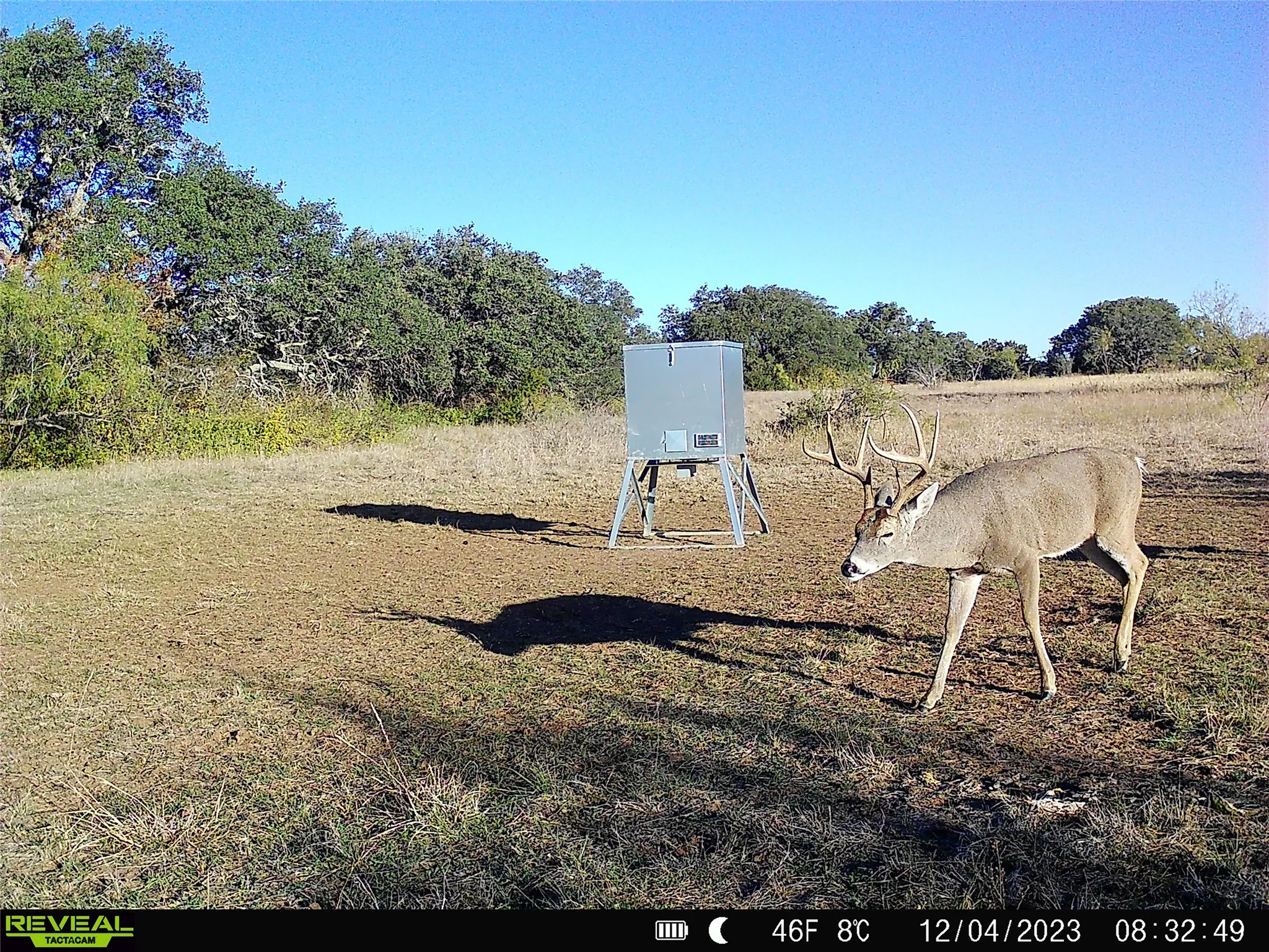 Ranch For Sale in Mills County , 11 County Road 191, Mullin, Texas 76864, 0, 0, Garage spaces, 0 Sqft, built in 0, mls#21365459, Real Estate Agent in Mullin, Homes For Sale in Mills county, Homes For Sale in Mullin, Realtor in Mullin Texas, Real Estate Brokerage Independent Realty Texas, Luminita Cordes Realtor