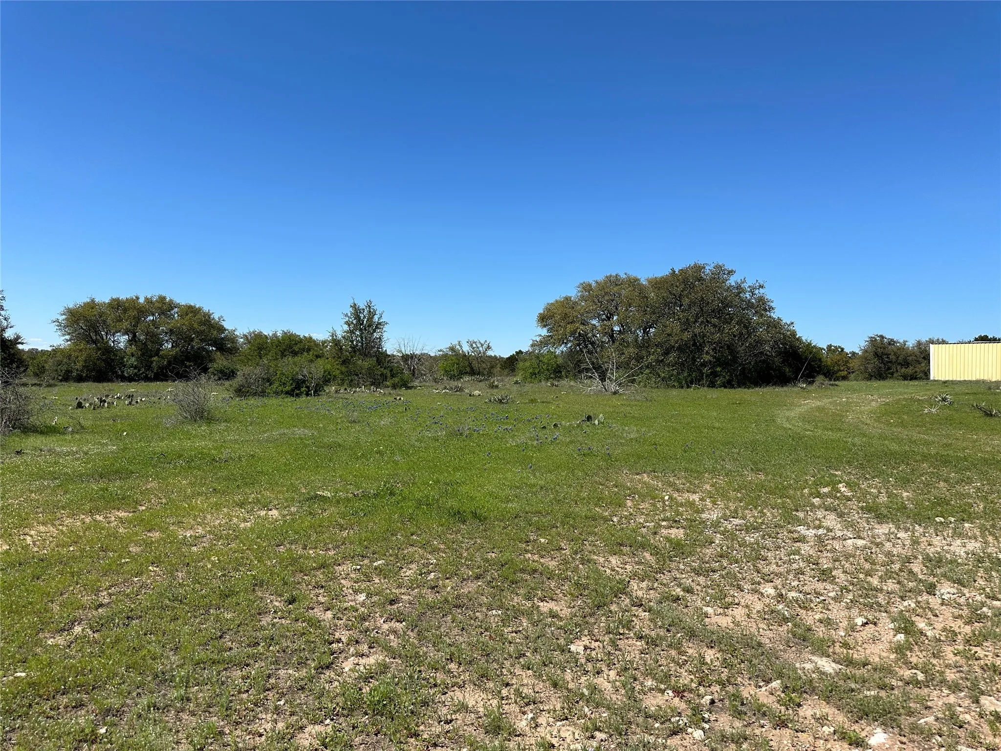 Ranch For Sale in Mills County , 11 County Road 191, Mullin, Texas 76864, 0, 0, Garage spaces, 0 Sqft, built in 0, mls#21365459, Real Estate Agent in Mullin, Homes For Sale in Mills county, Homes For Sale in Mullin, Realtor in Mullin Texas, Real Estate Brokerage Independent Realty Texas, Luminita Cordes Realtor