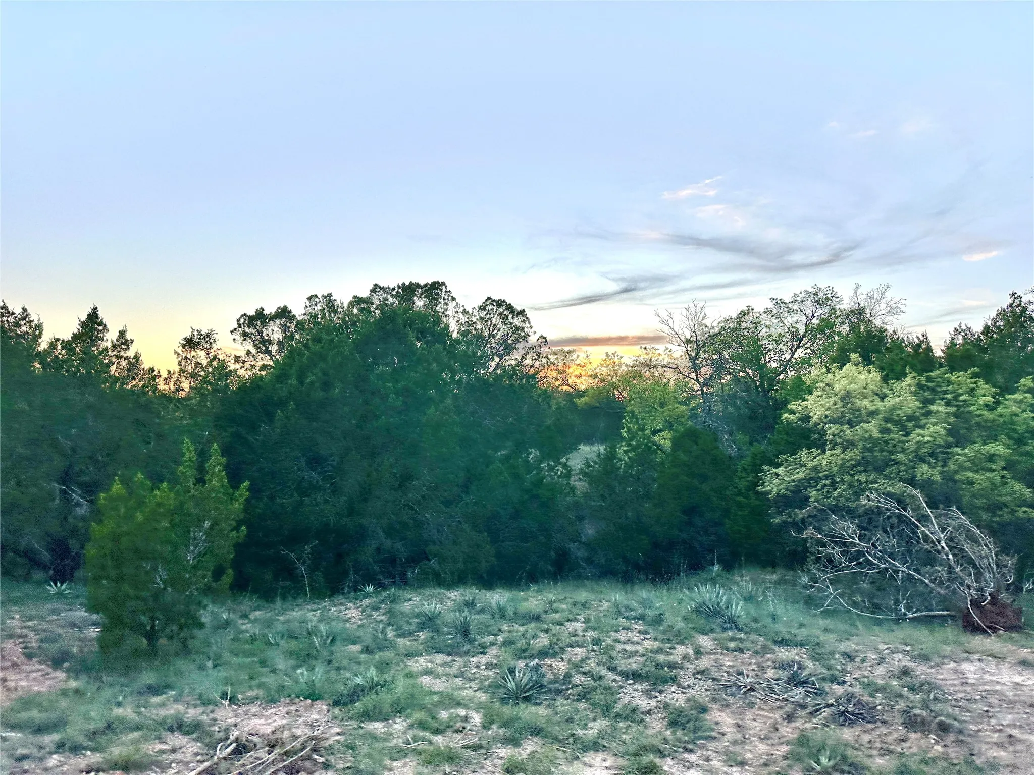 Ranch For Sale in Mills County , 11 County Road 191, Mullin, Texas 76864, 0, 0, Garage spaces, 0 Sqft, built in 0, mls#21365459, Real Estate Agent in Mullin, Homes For Sale in Mills county, Homes For Sale in Mullin, Realtor in Mullin Texas, Real Estate Brokerage Independent Realty Texas, Luminita Cordes Realtor