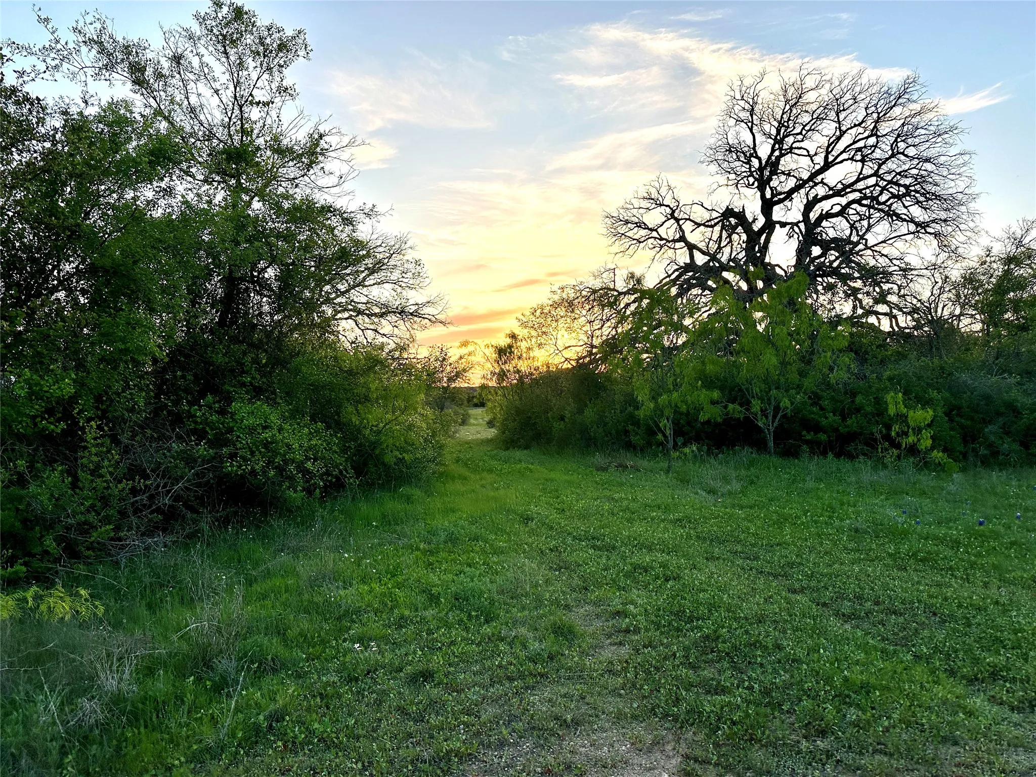 Ranch For Sale in Mills County , 11 County Road 191, Mullin, Texas 76864, 0, 0, Garage spaces, 0 Sqft, built in 0, mls#21365459, Real Estate Agent in Mullin, Homes For Sale in Mills county, Homes For Sale in Mullin, Realtor in Mullin Texas, Real Estate Brokerage Independent Realty Texas, Luminita Cordes Realtor