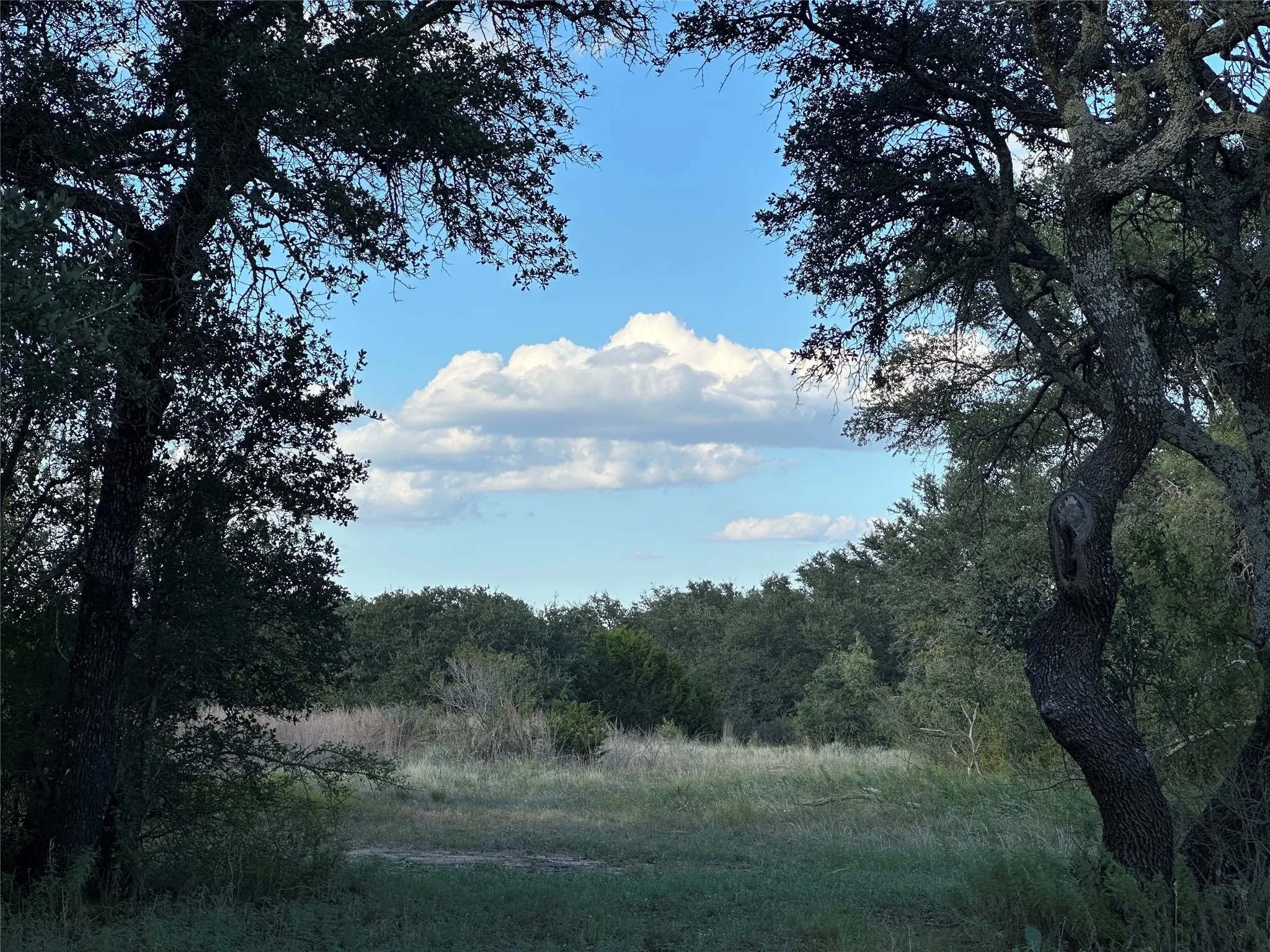 Ranch For Sale in Mills County , 11 County Road 191, Mullin, Texas 76864, 0, 0, Garage spaces, 0 Sqft, built in 0, mls#21365459, Real Estate Agent in Mullin, Homes For Sale in Mills county, Homes For Sale in Mullin, Realtor in Mullin Texas, Real Estate Brokerage Independent Realty Texas, Luminita Cordes Realtor