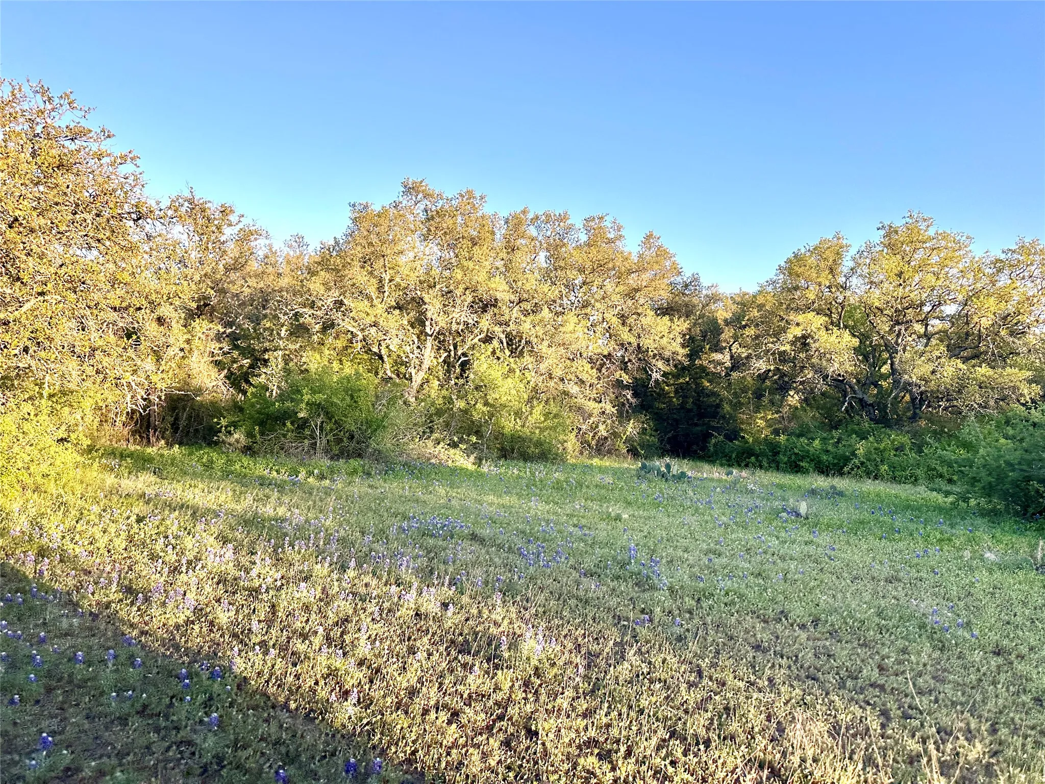 Ranch For Sale in Mills County , 11 County Road 191, Mullin, Texas 76864, 0, 0, Garage spaces, 0 Sqft, built in 0, mls#21365459, Real Estate Agent in Mullin, Homes For Sale in Mills county, Homes For Sale in Mullin, Realtor in Mullin Texas, Real Estate Brokerage Independent Realty Texas, Luminita Cordes Realtor