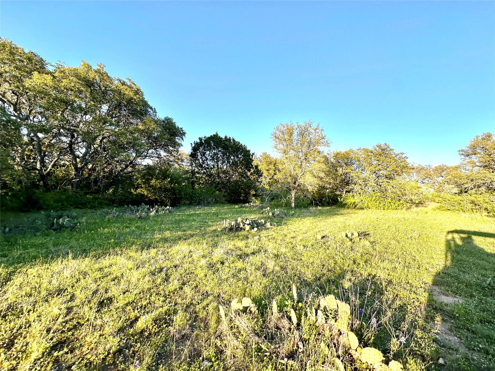 Ranch For Sale in Mills County , 11 County Road 191, Mullin, Texas 76864, 0, 0, Garage spaces, 0 Sqft, built in 0, mls#21365459, Real Estate Agent in Mullin, Homes For Sale in Mills county, Homes For Sale in Mullin, Realtor in Mullin Texas, Real Estate Brokerage Independent Realty Texas, Luminita Cordes Realtor