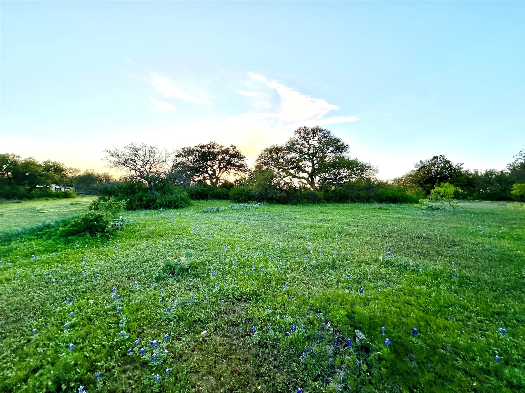 Ranch For Sale in Mills County , 11 County Road 191, Mullin, Texas 76864, 0, 0, Garage spaces, 0 Sqft, built in 0, mls#21365459, Real Estate Agent in Mullin, Homes For Sale in Mills county, Homes For Sale in Mullin, Realtor in Mullin Texas, Real Estate Brokerage Independent Realty Texas, Luminita Cordes Realtor