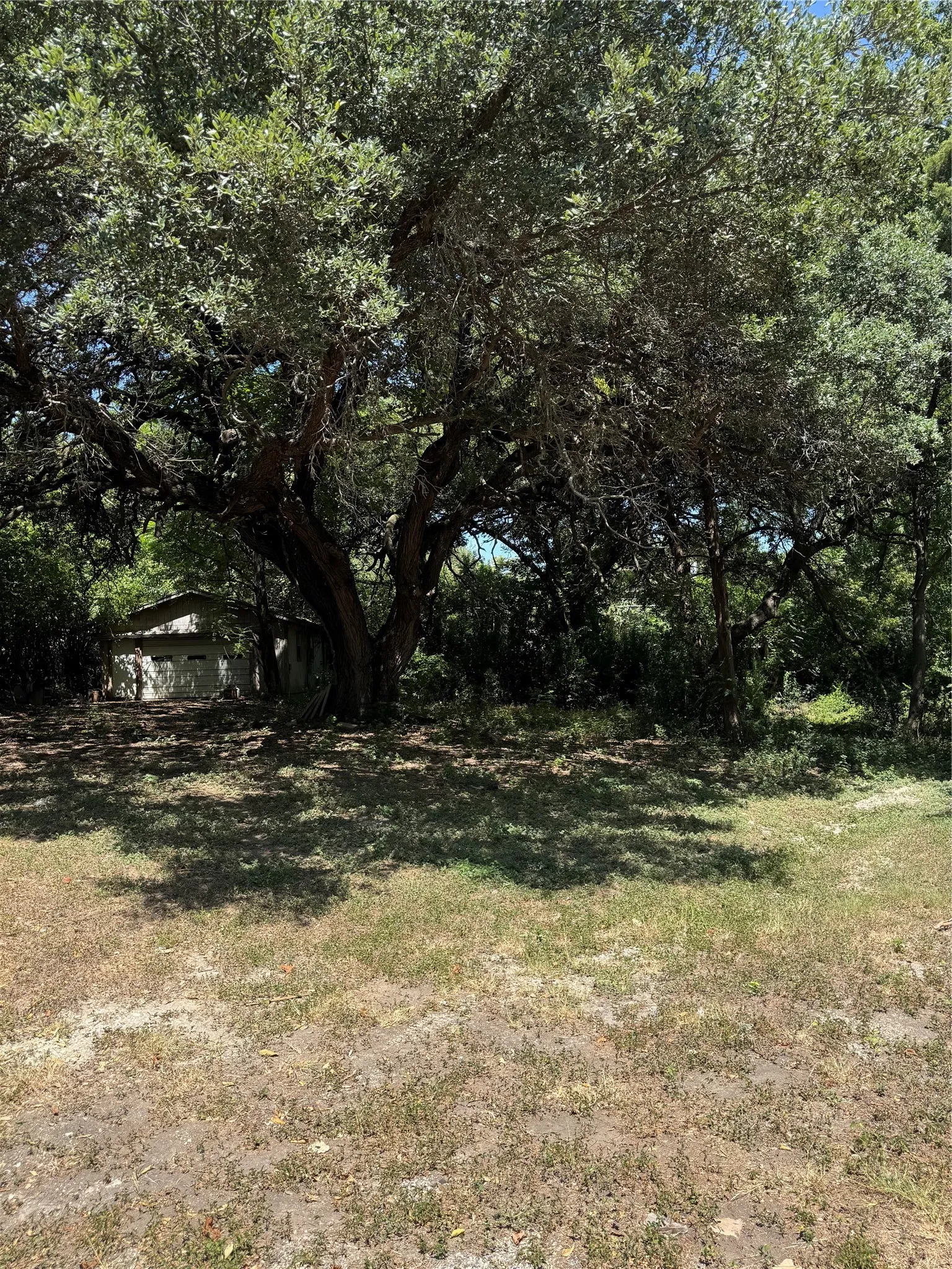 Mature trees providing natural shade