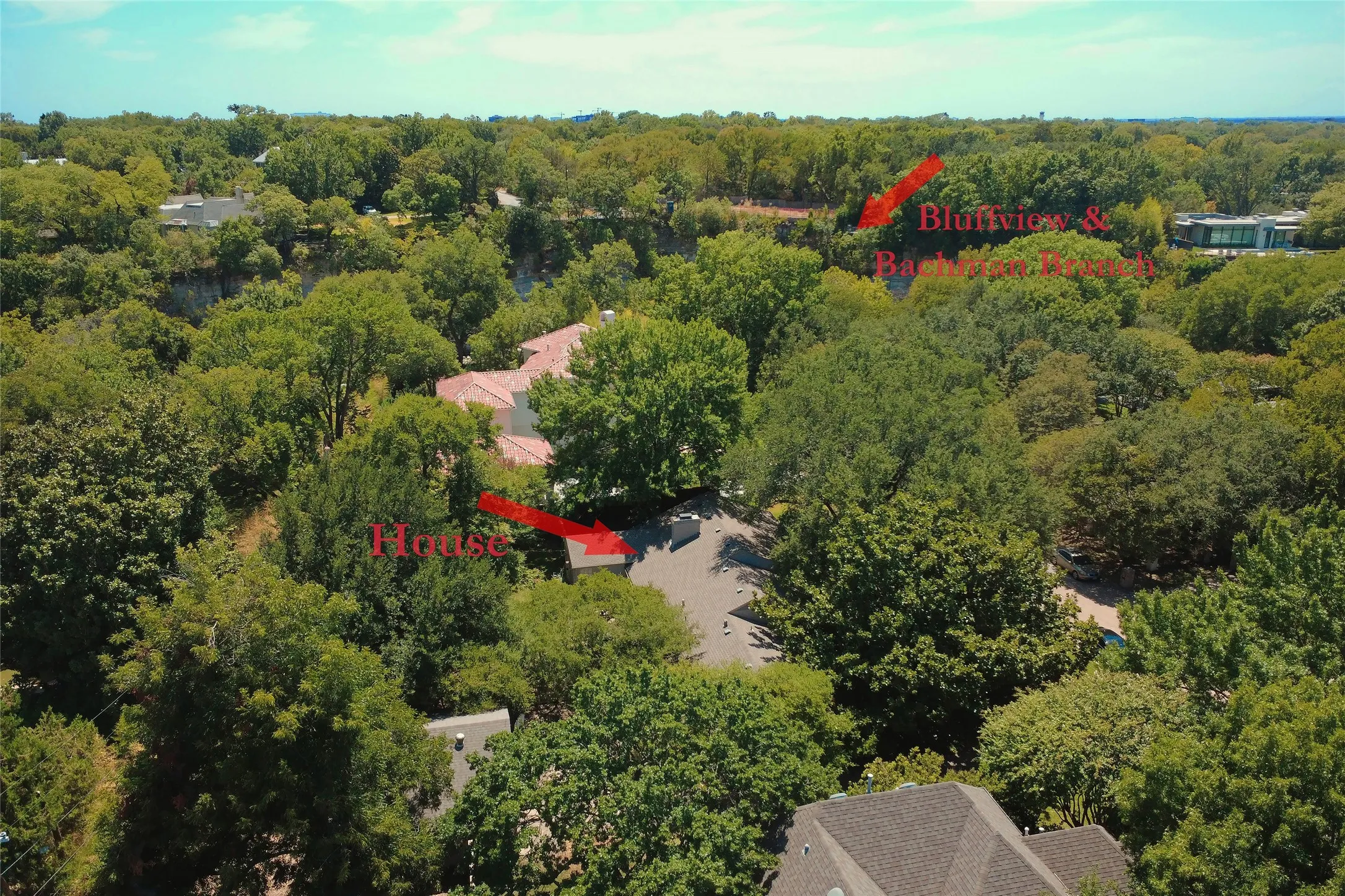 Bluff Ridge
