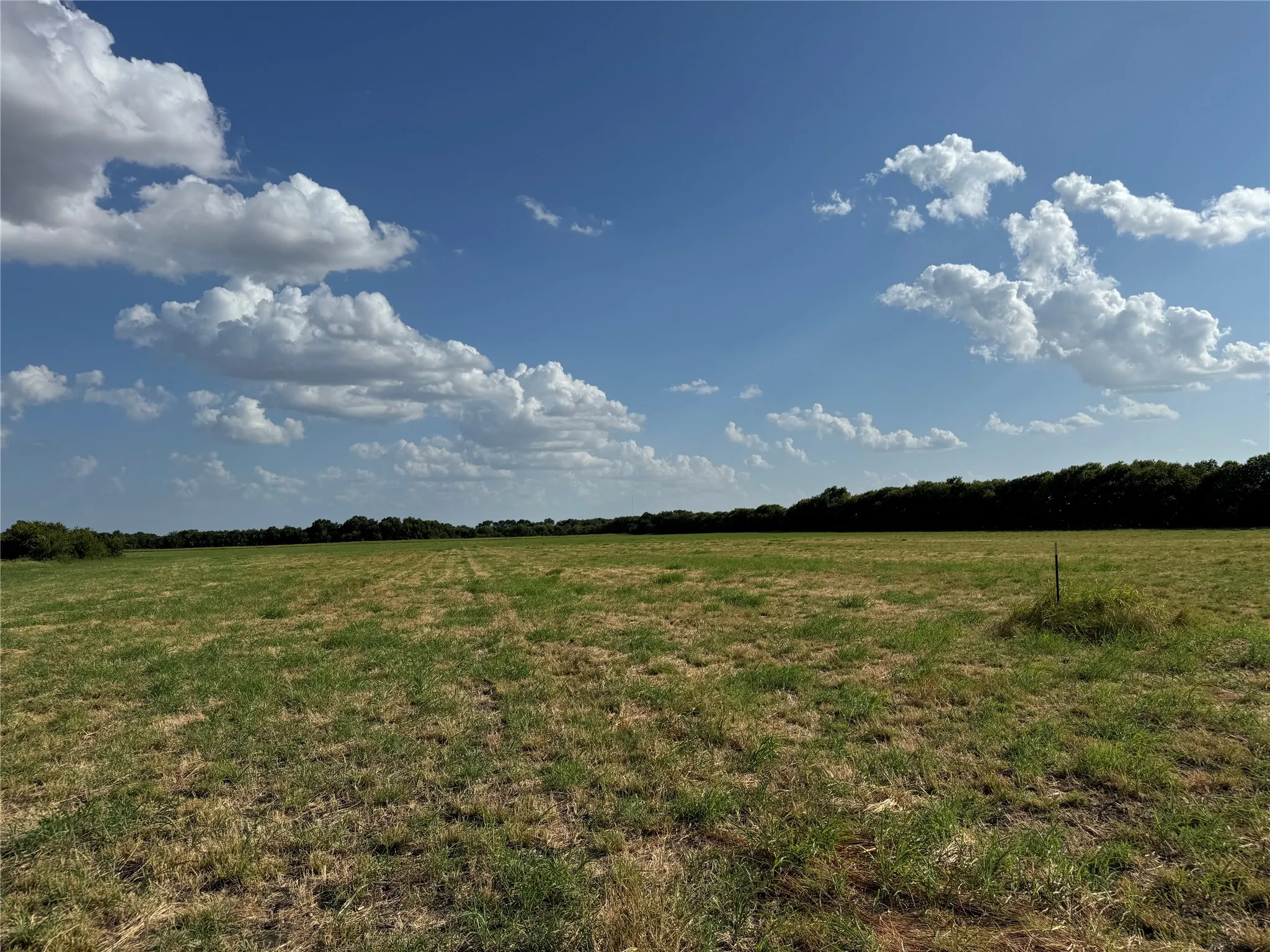 Unimproved Land For Sale in Fannin County , Tract 8, 13.103 Acres County Rd 3700, Leonard, Texas 75452, 0, 0, Garage spaces, 0 Sqft, built in 0, mls#21365180, Real Estate Agent in Leonard, Homes For Sale in Fannin county, Homes For Sale in Leonard, Realtor in Leonard Texas, Real Estate Brokerage Independent Realty Texas, Luminita Cordes Realtor