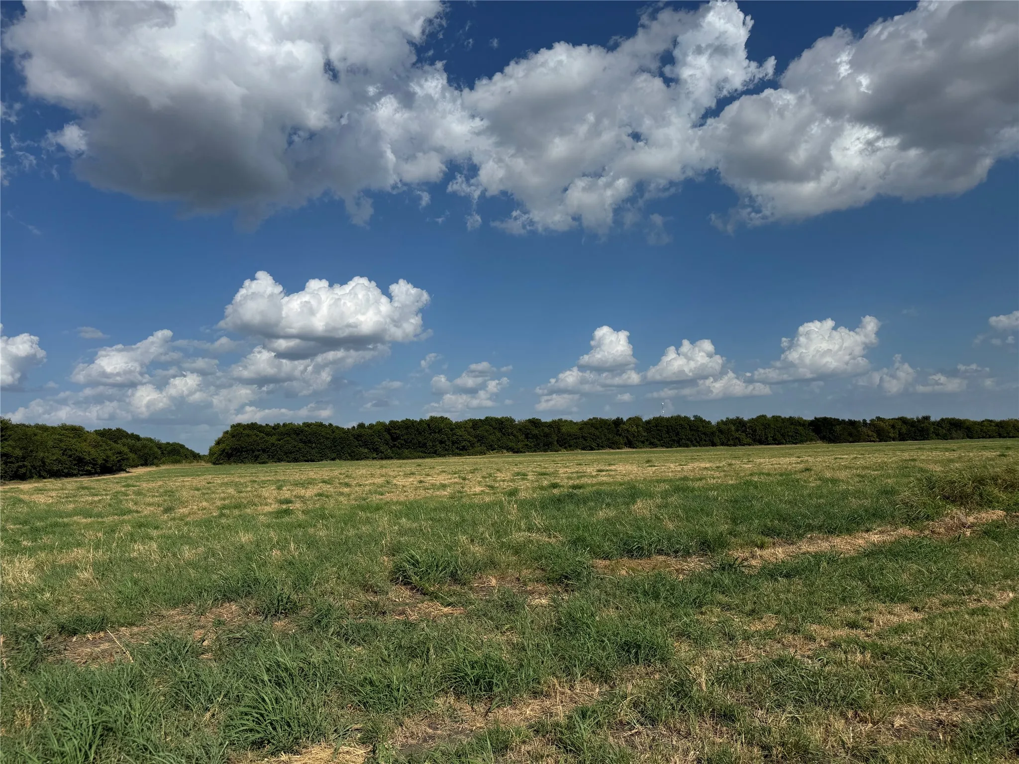 Expansive open field with natural tree line