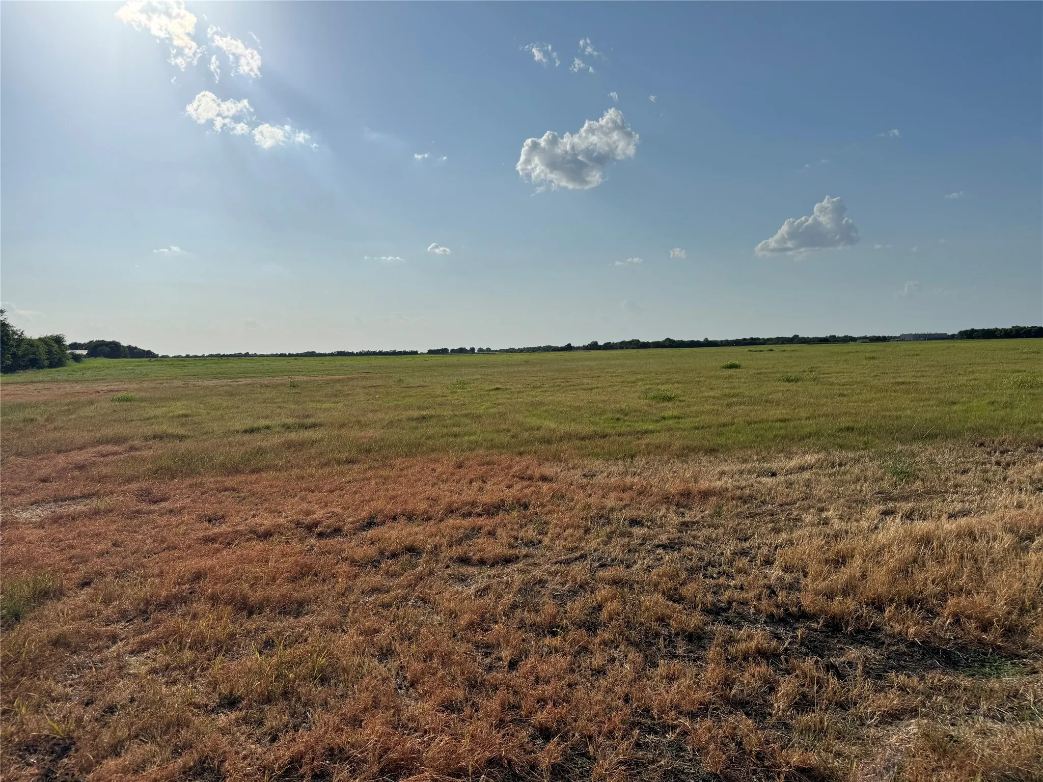 Expansive open field with varied grass tones and distant treeline