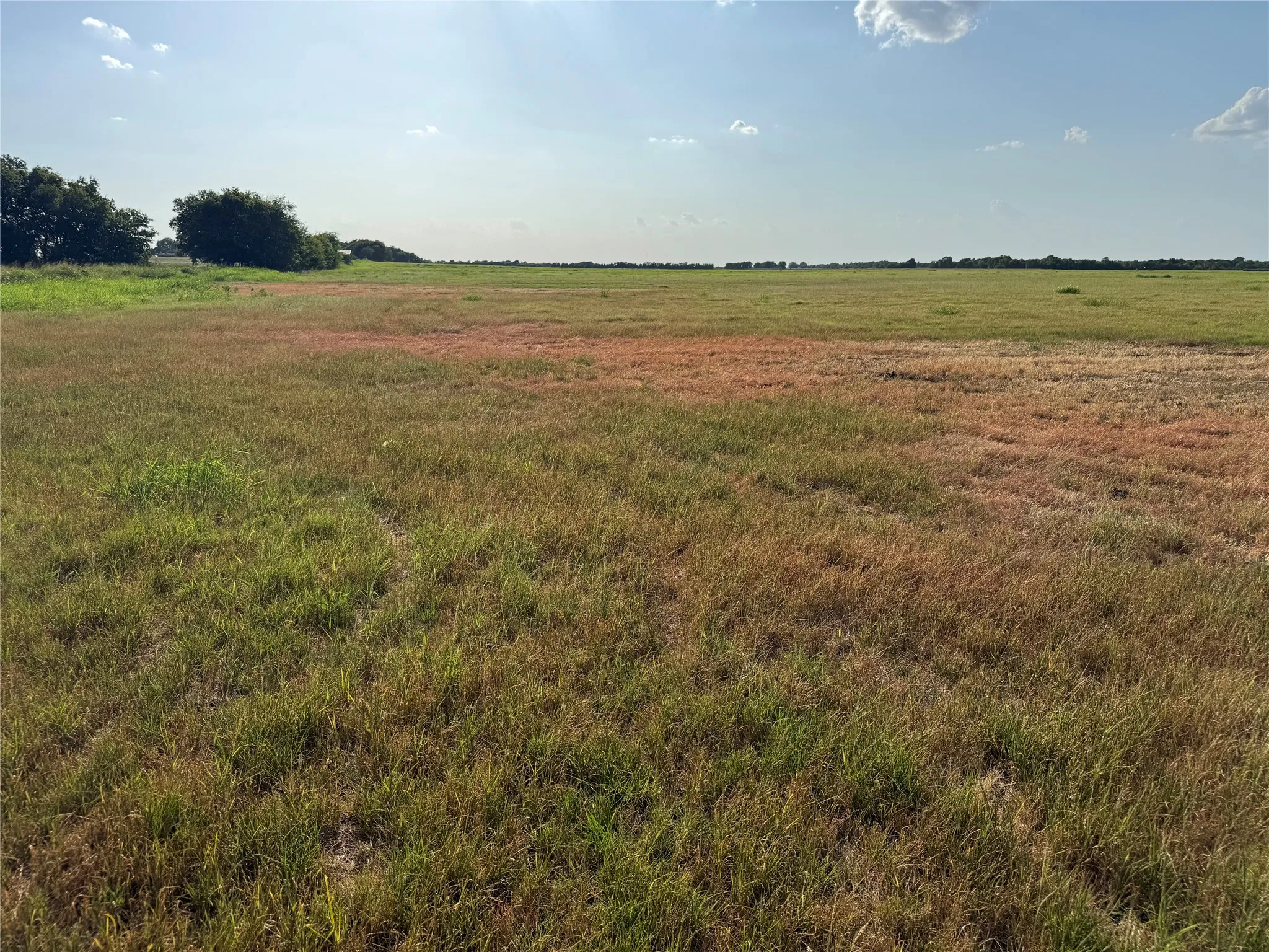 Expansive open field with natural grass and distant tree lines