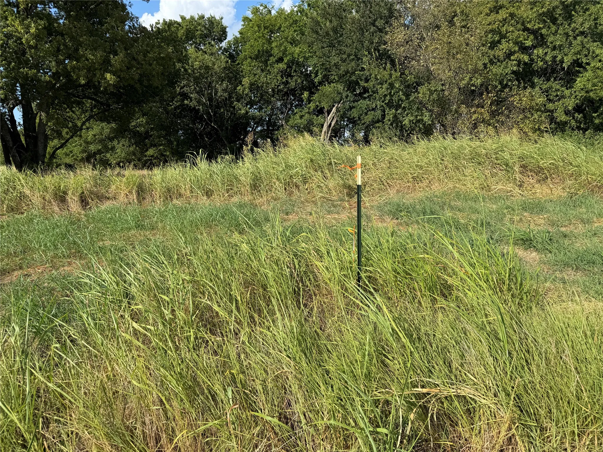Unimproved Land For Sale in Fannin County , Tract 8, 13.103 Acres County Rd 3700, Leonard, Texas 75452, 0, 0, Garage spaces, 0 Sqft, built in 0, mls#21365180, Real Estate Agent in Leonard, Homes For Sale in Fannin county, Homes For Sale in Leonard, Realtor in Leonard Texas, Real Estate Brokerage Independent Realty Texas, Luminita Cordes Realtor
