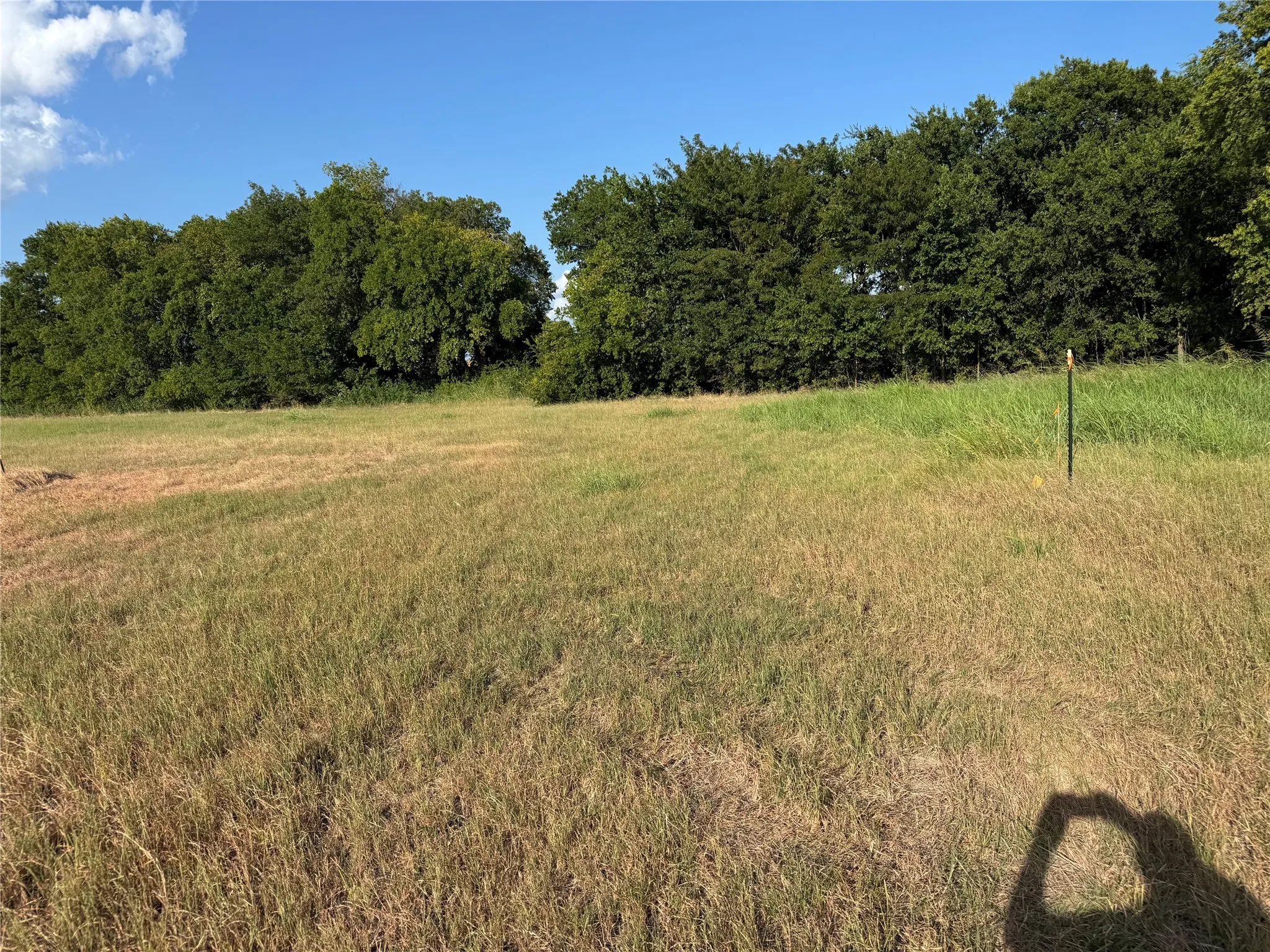 Expansive open land with varying grass textures, bordered by a dense line of mature trees