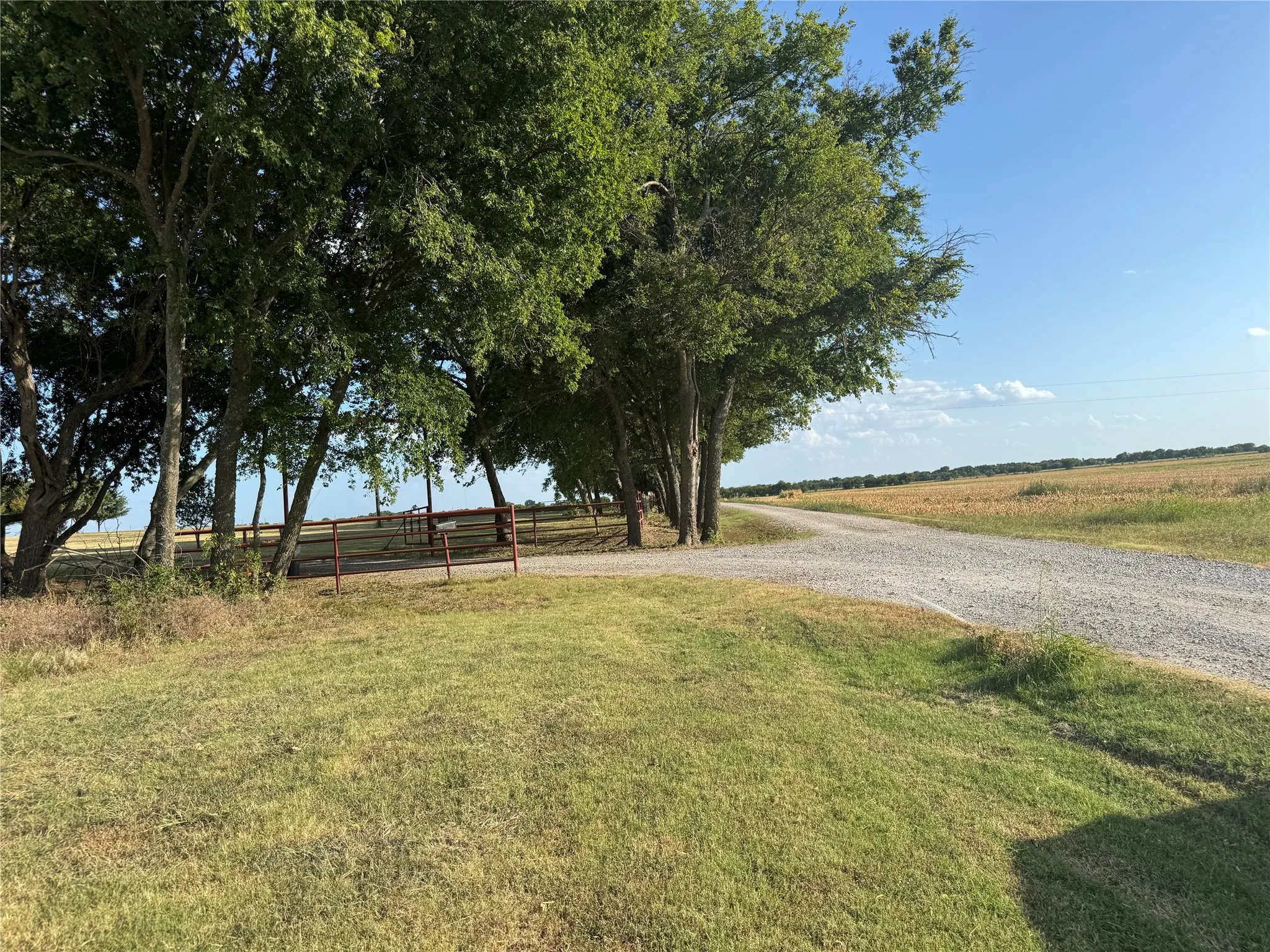 Unimproved Land For Sale in Fannin County , Tract 8, 13.103 Acres County Rd 3700, Leonard, Texas 75452, 0, 0, Garage spaces, 0 Sqft, built in 0, mls#21365180, Real Estate Agent in Leonard, Homes For Sale in Fannin county, Homes For Sale in Leonard, Realtor in Leonard Texas, Real Estate Brokerage Independent Realty Texas, Luminita Cordes Realtor