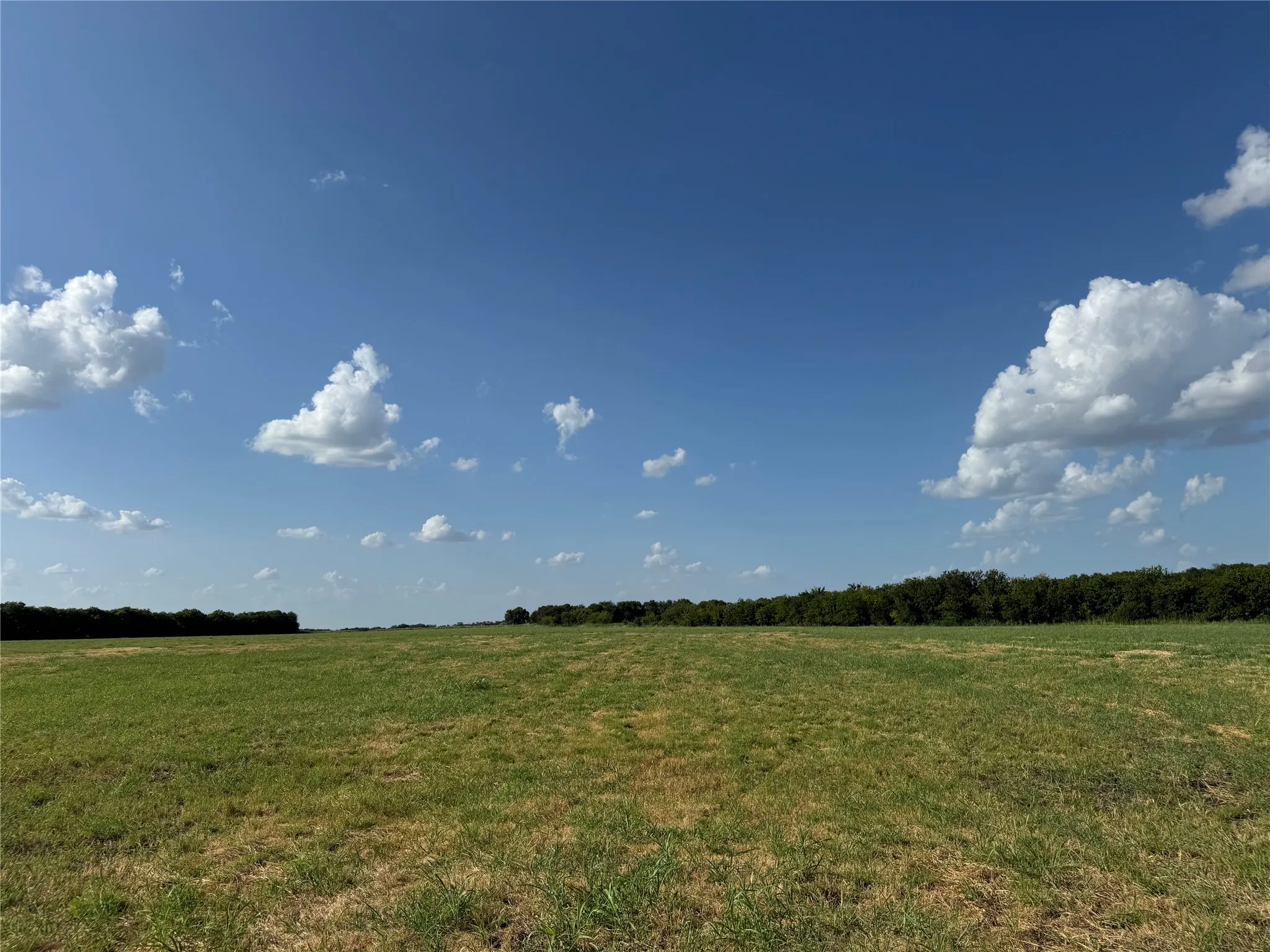 Expansive green field under a clear blue sky, bordered by a dense tree line