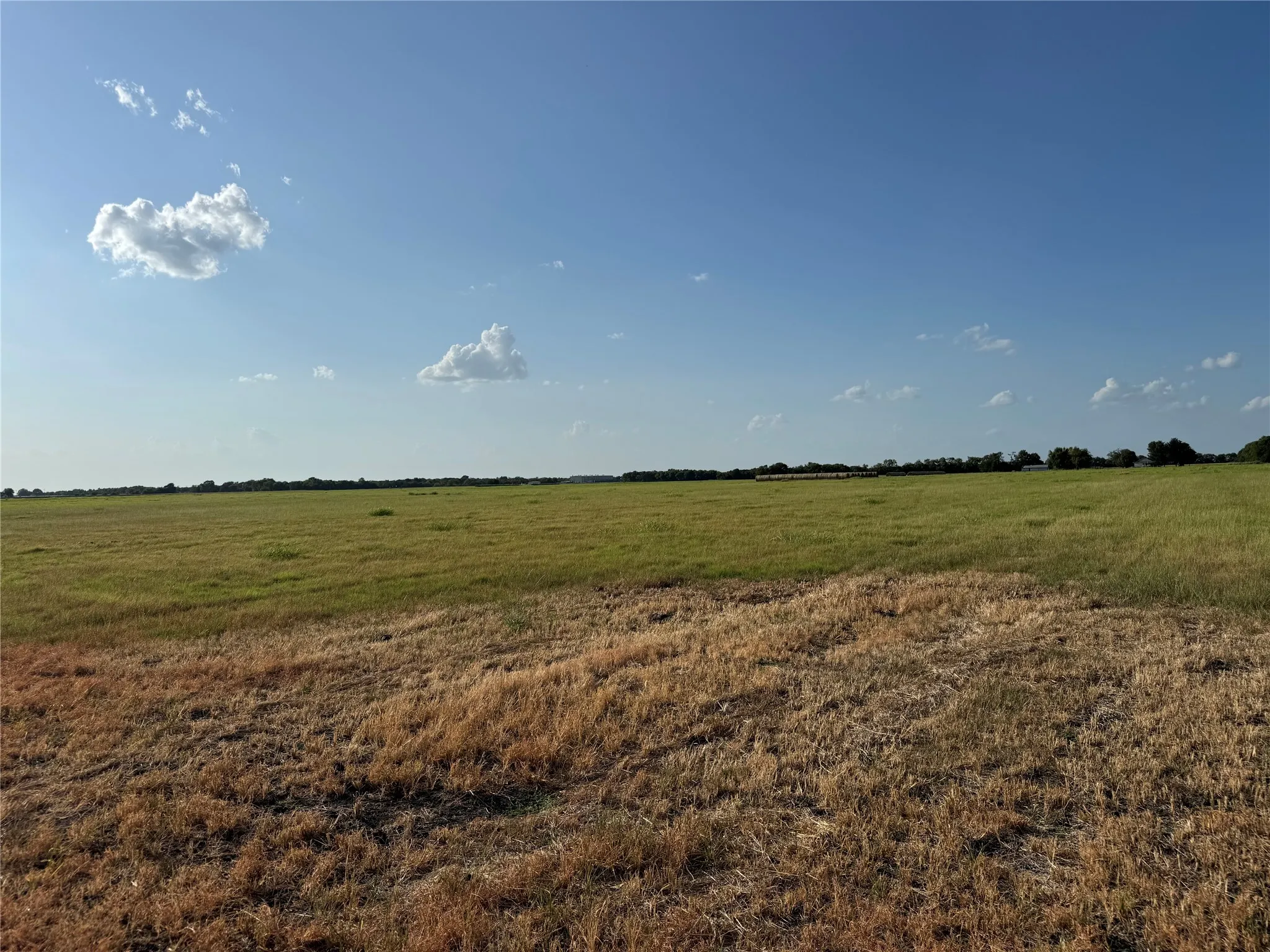 Expansive open field with varied grass tones and distant tree line