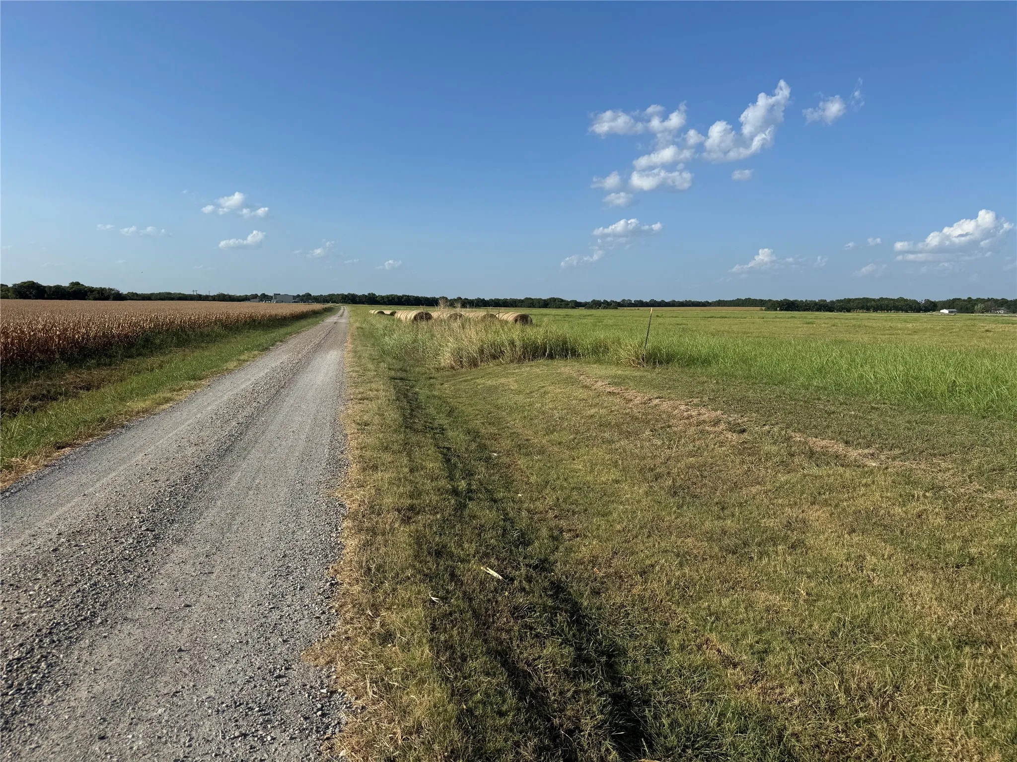Gravel road with agricultural land on both sides