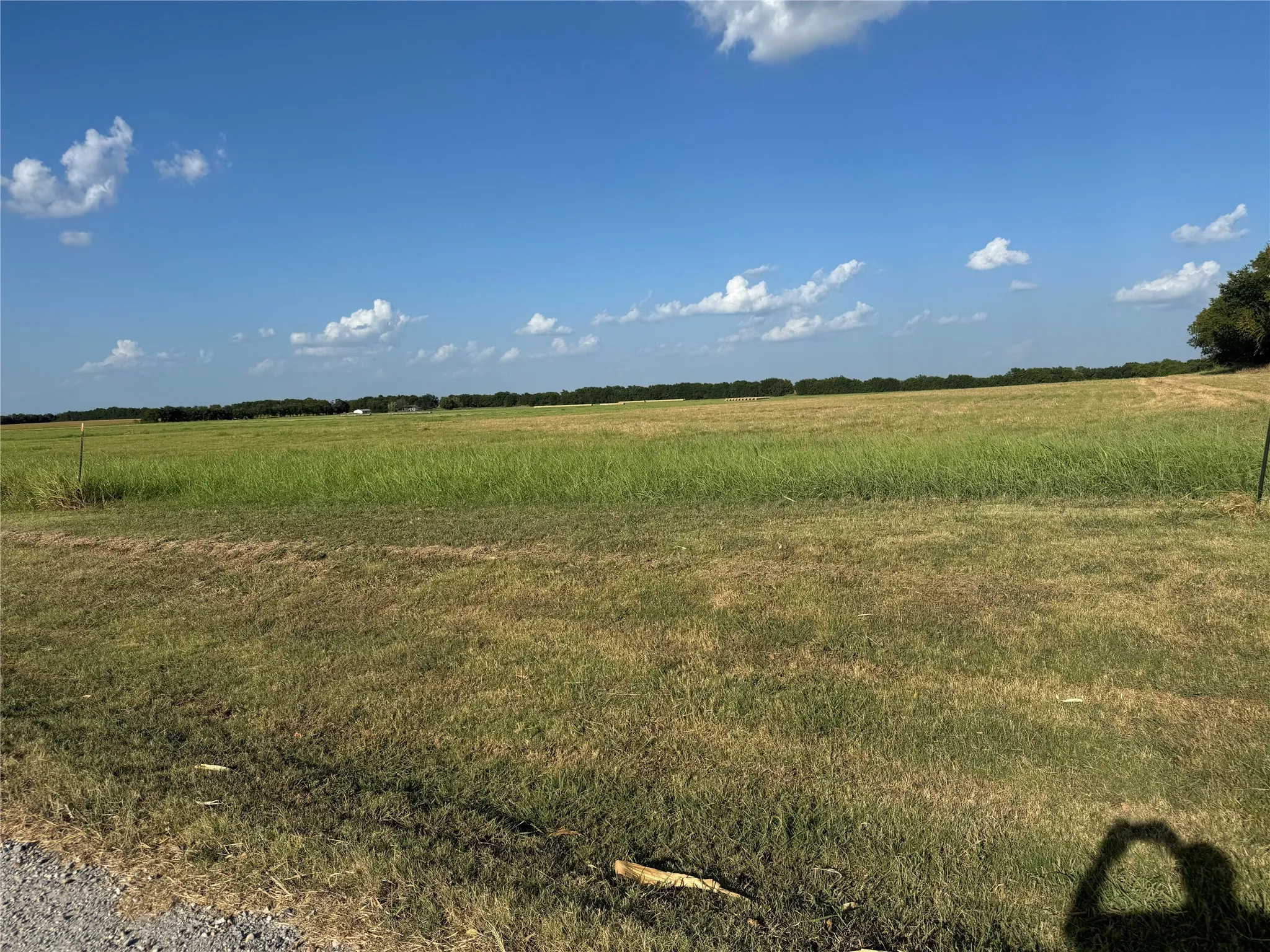 Expansive open land with varied green and golden grasses, surrounded by distant mature trees
