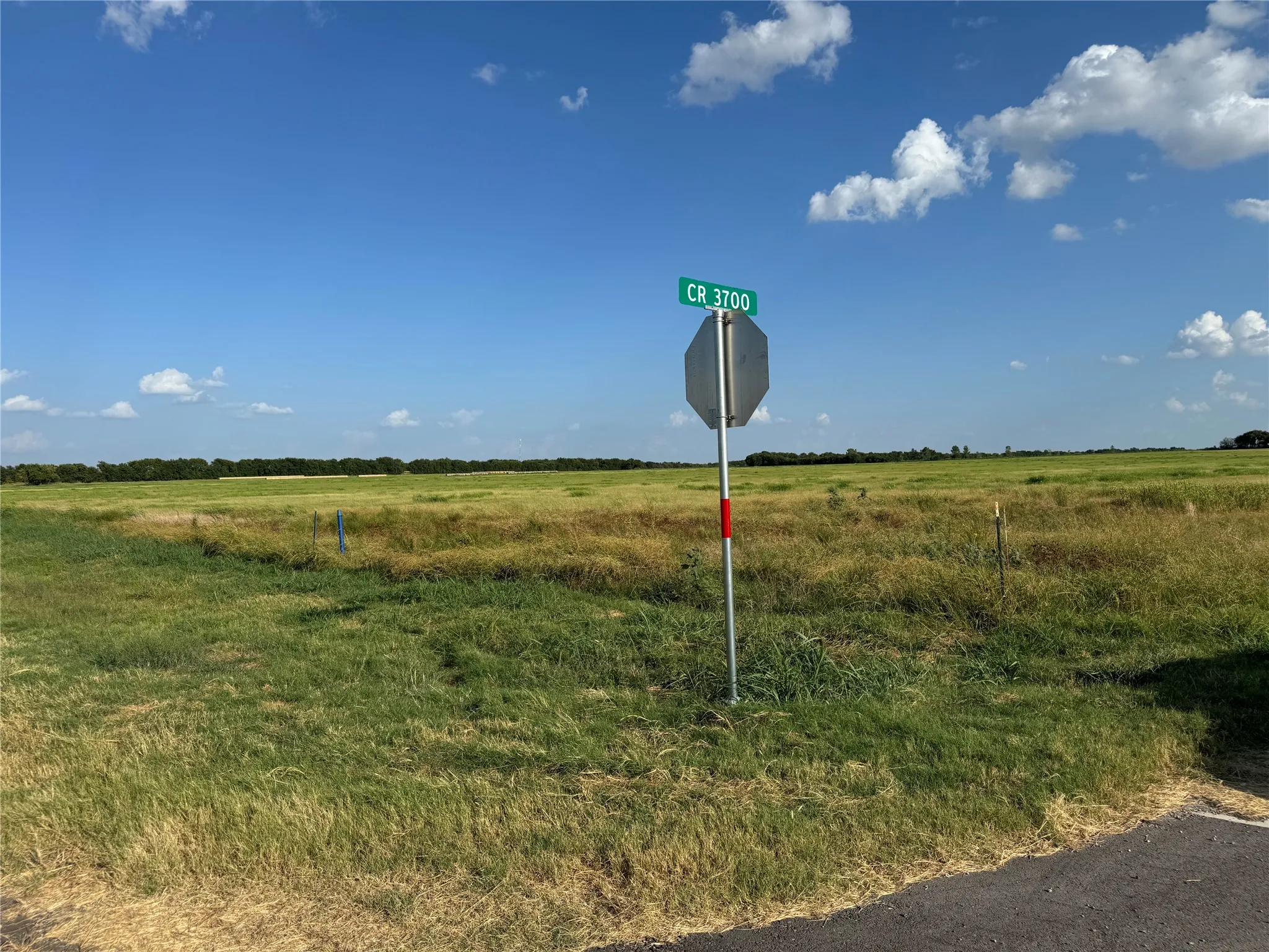 Unimproved Land For Sale in Fannin County , Tract 8, 13.103 Acres County Rd 3700, Leonard, Texas 75452, 0, 0, Garage spaces, 0 Sqft, built in 0, mls#21365180, Real Estate Agent in Leonard, Homes For Sale in Fannin county, Homes For Sale in Leonard, Realtor in Leonard Texas, Real Estate Brokerage Independent Realty Texas, Luminita Cordes Realtor