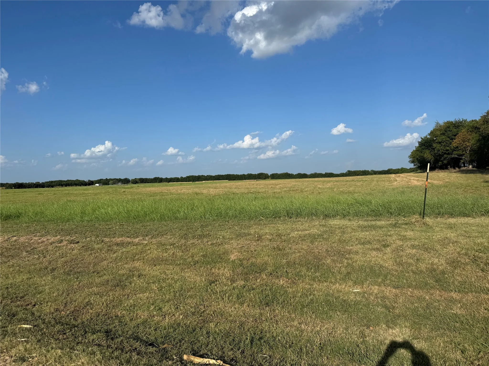 Unimproved Land For Sale in Fannin County , Tract 8, 13.103 Acres County Rd 3700, Leonard, Texas 75452, 0, 0, Garage spaces, 0 Sqft, built in 0, mls#21365180, Real Estate Agent in Leonard, Homes For Sale in Fannin county, Homes For Sale in Leonard, Realtor in Leonard Texas, Real Estate Brokerage Independent Realty Texas, Luminita Cordes Realtor