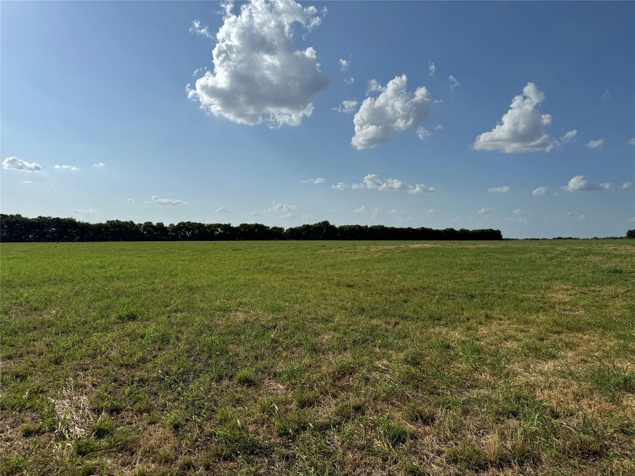 Unimproved Land For Sale in Fannin County , Tract 8, 13.103 Acres County Rd 3700, Leonard, Texas 75452, 0, 0, Garage spaces, 0 Sqft, built in 0, mls#21365180, Real Estate Agent in Leonard, Homes For Sale in Fannin county, Homes For Sale in Leonard, Realtor in Leonard Texas, Real Estate Brokerage Independent Realty Texas, Luminita Cordes Realtor