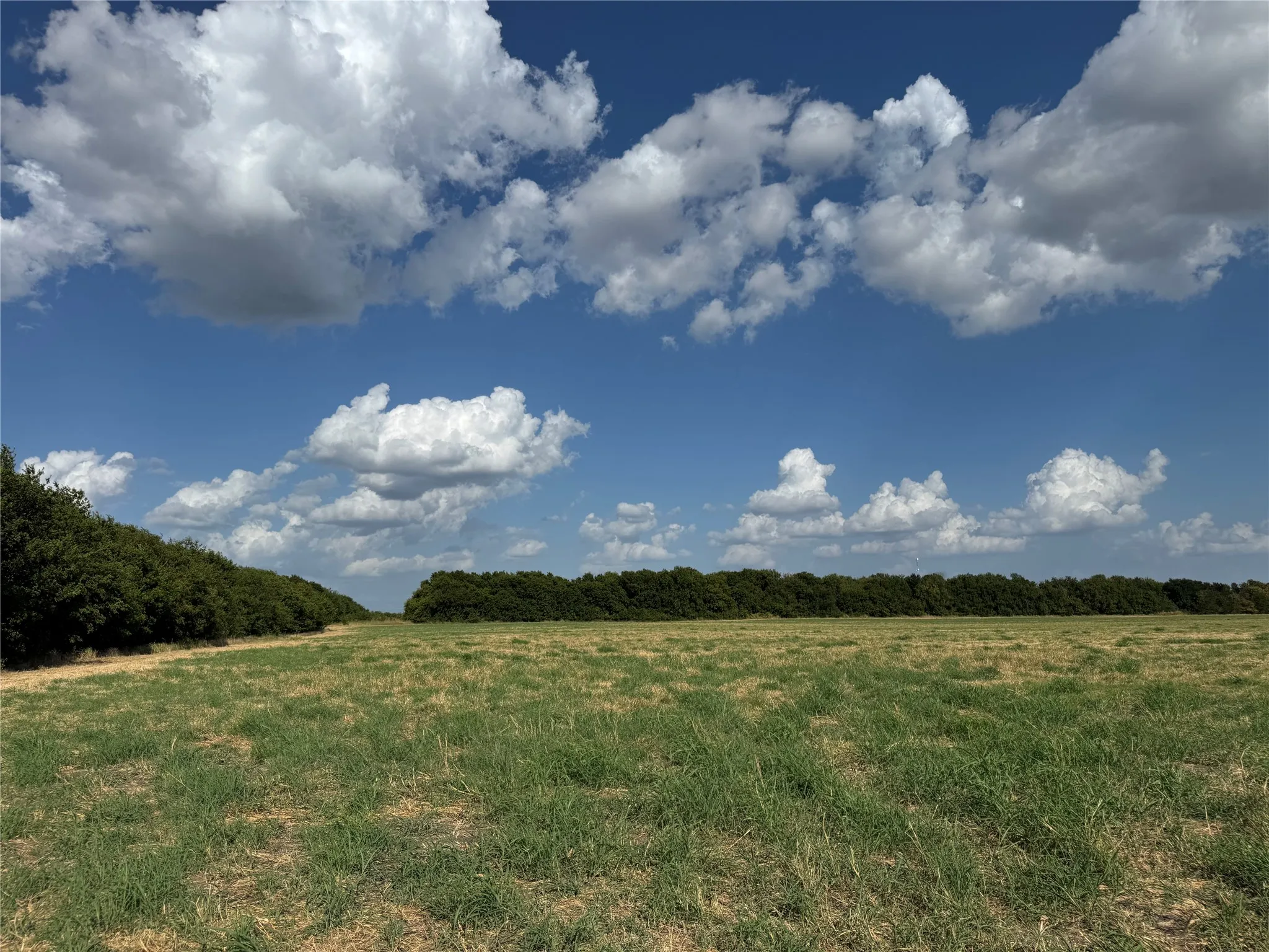 Unimproved Land For Sale in Fannin County , Tract 8, 13.103 Acres County Rd 3700, Leonard, Texas 75452, 0, 0, Garage spaces, 0 Sqft, built in 0, mls#21365180, Real Estate Agent in Leonard, Homes For Sale in Fannin county, Homes For Sale in Leonard, Realtor in Leonard Texas, Real Estate Brokerage Independent Realty Texas, Luminita Cordes Realtor