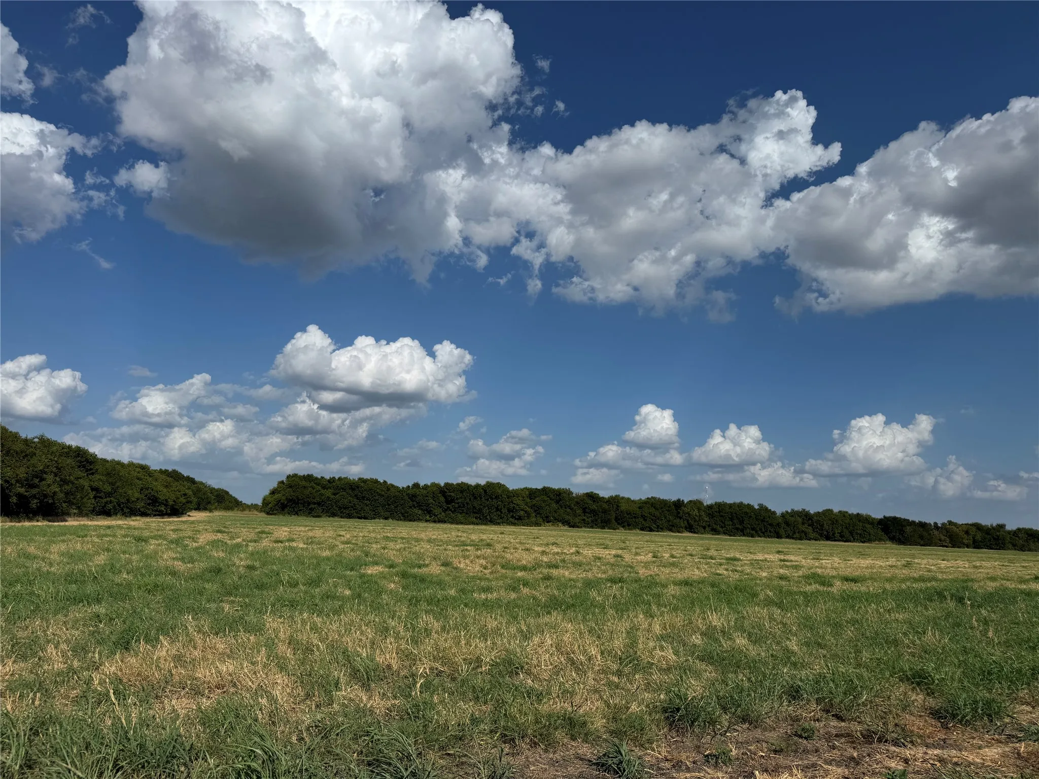 Unimproved Land For Sale in Fannin County , Tract 8, 13.103 Acres County Rd 3700, Leonard, Texas 75452, 0, 0, Garage spaces, 0 Sqft, built in 0, mls#21365180, Real Estate Agent in Leonard, Homes For Sale in Fannin county, Homes For Sale in Leonard, Realtor in Leonard Texas, Real Estate Brokerage Independent Realty Texas, Luminita Cordes Realtor