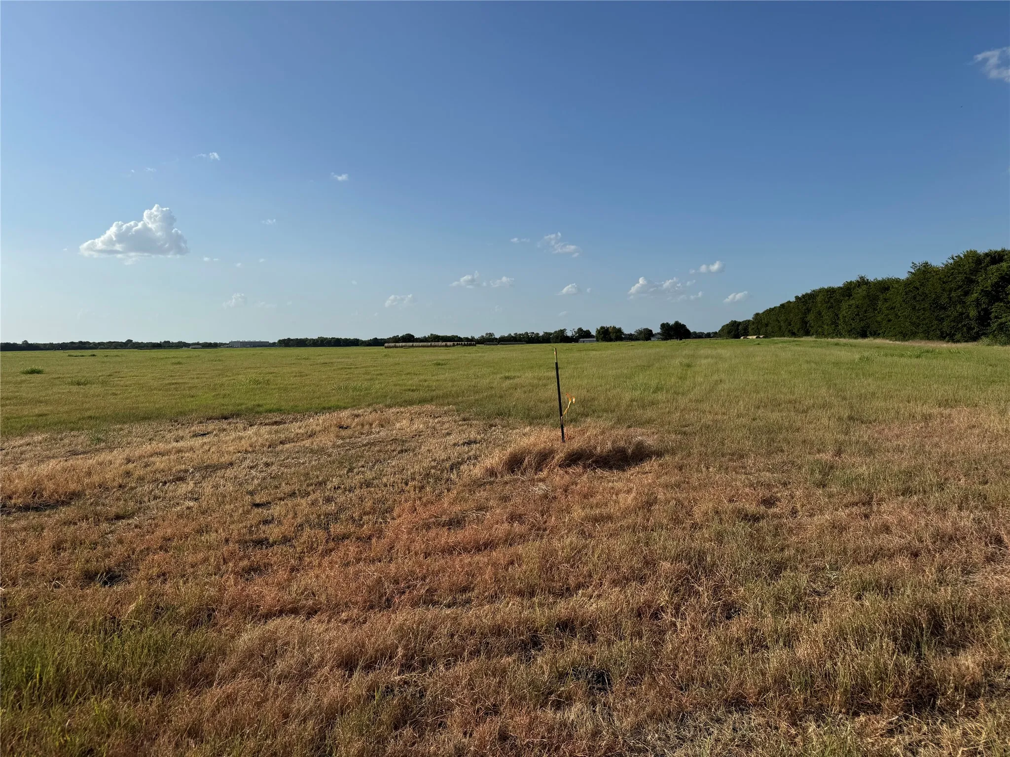 Unimproved Land For Sale in Fannin County , Tract 8, 13.103 Acres County Rd 3700, Leonard, Texas 75452, 0, 0, Garage spaces, 0 Sqft, built in 0, mls#21365180, Real Estate Agent in Leonard, Homes For Sale in Fannin county, Homes For Sale in Leonard, Realtor in Leonard Texas, Real Estate Brokerage Independent Realty Texas, Luminita Cordes Realtor