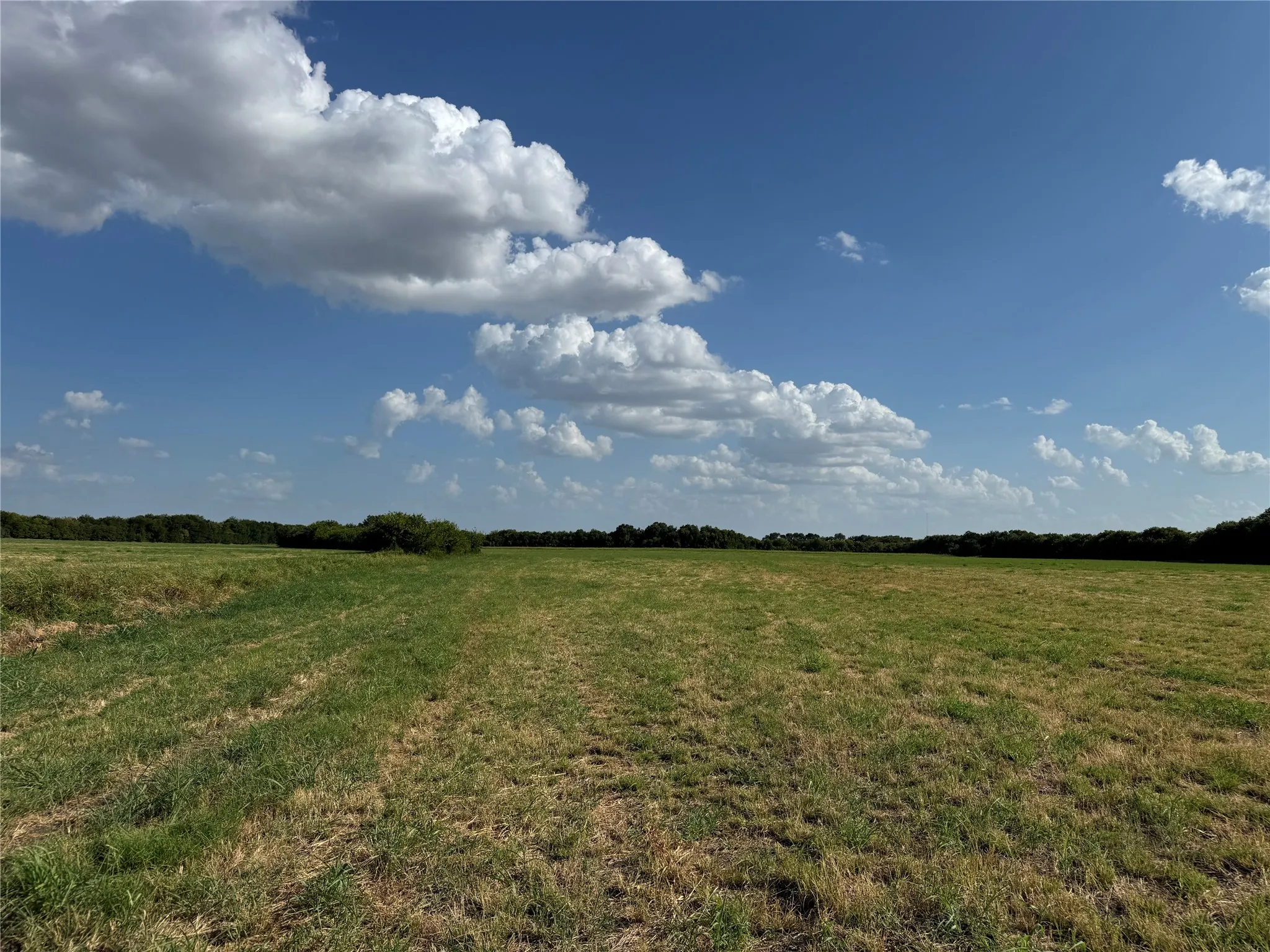 Unimproved Land For Sale in Fannin County , Tract 8, 13.103 Acres County Rd 3700, Leonard, Texas 75452, 0, 0, Garage spaces, 0 Sqft, built in 0, mls#21365180, Real Estate Agent in Leonard, Homes For Sale in Fannin county, Homes For Sale in Leonard, Realtor in Leonard Texas, Real Estate Brokerage Independent Realty Texas, Luminita Cordes Realtor
