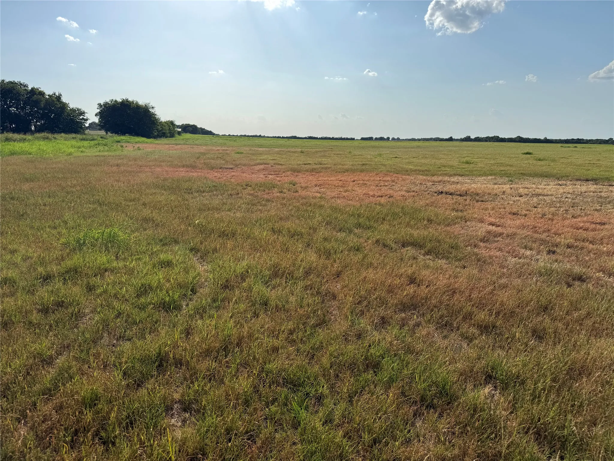 Expansive open field with natural grass and distant tree lines