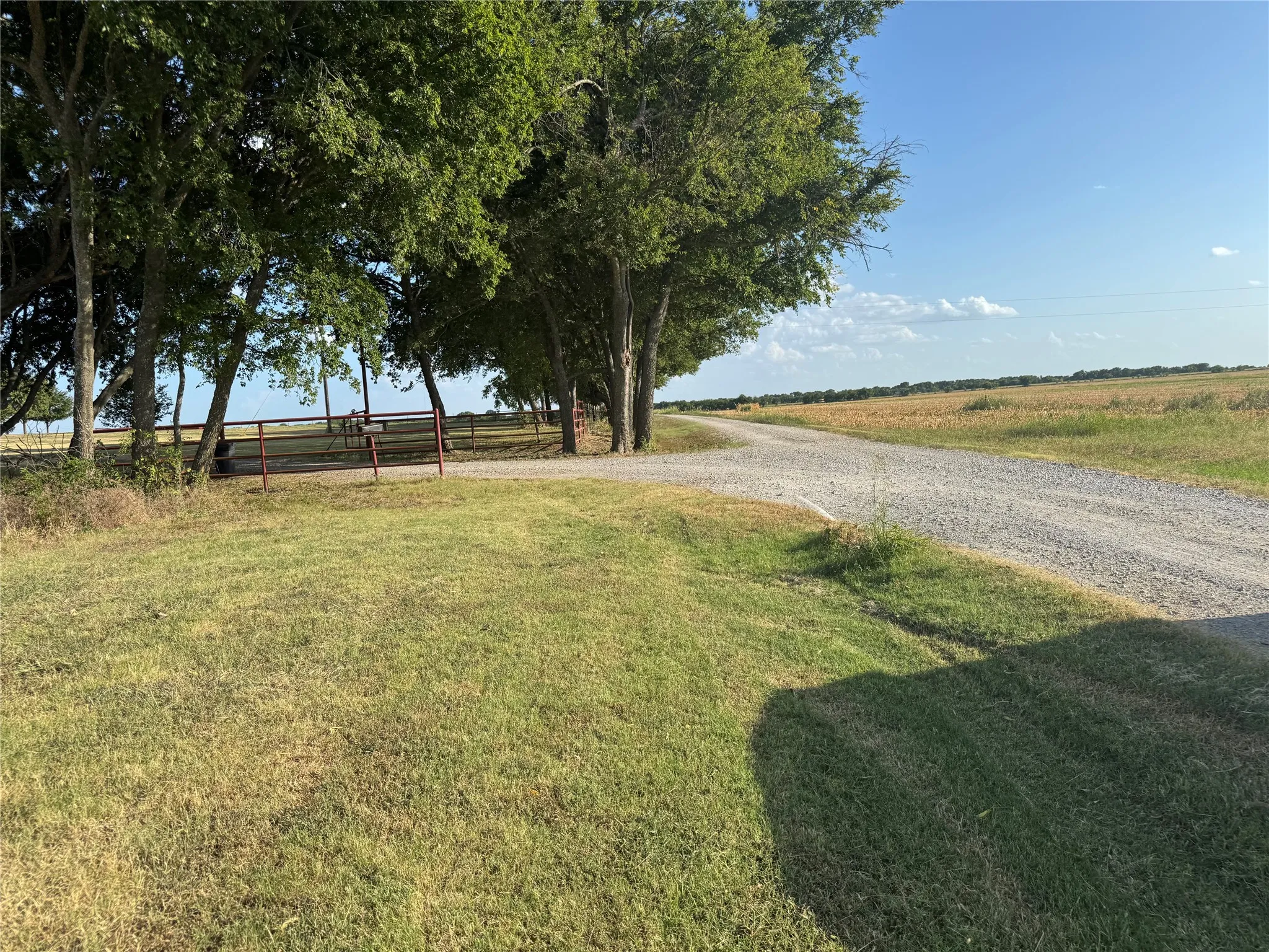 Unimproved Land For Sale in Fannin County , Tract 8, 13.103 Acres County Rd 3700, Leonard, Texas 75452, 0, 0, Garage spaces, 0 Sqft, built in 0, mls#21365180, Real Estate Agent in Leonard, Homes For Sale in Fannin county, Homes For Sale in Leonard, Realtor in Leonard Texas, Real Estate Brokerage Independent Realty Texas, Luminita Cordes Realtor