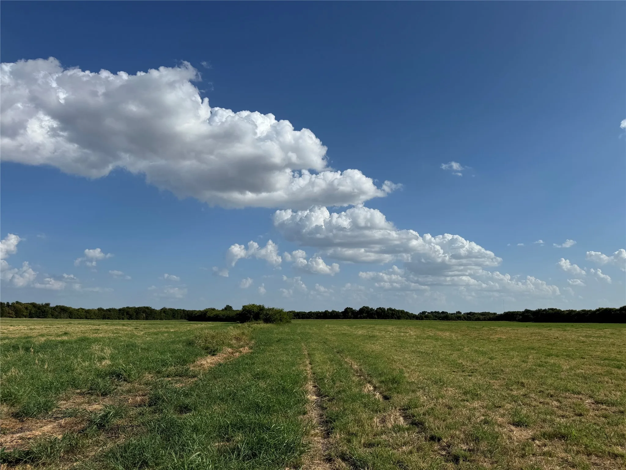Expansive agricultural land featuring a natural tree line bordering the property
