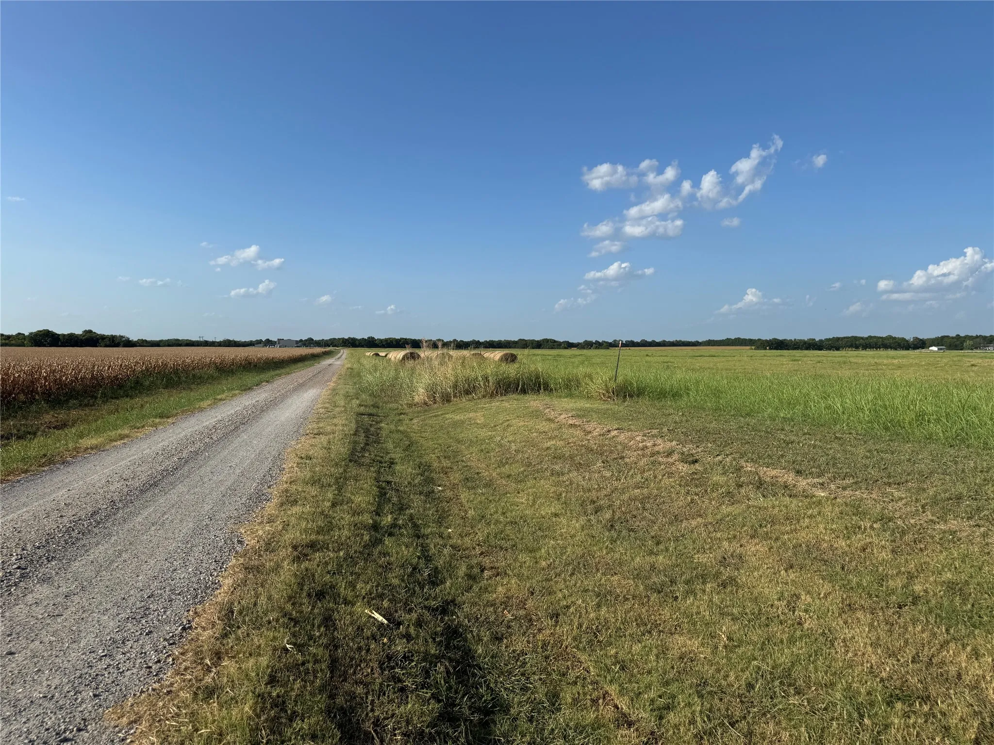 Gravel road access with agricultural fields on both sides