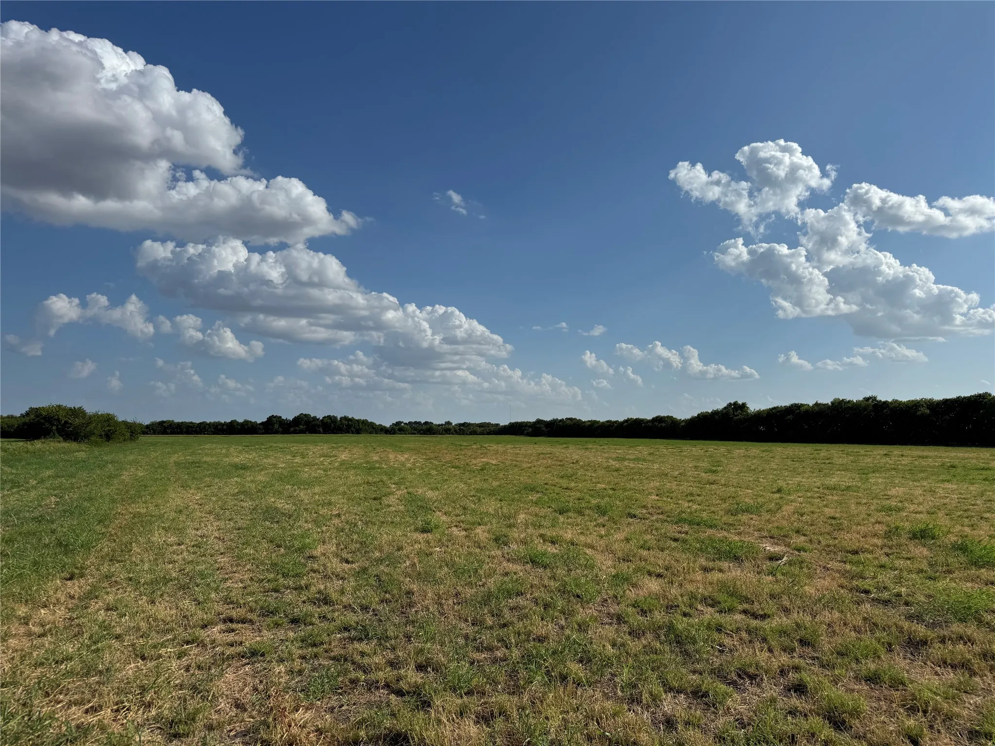 Expansive open field with natural grass