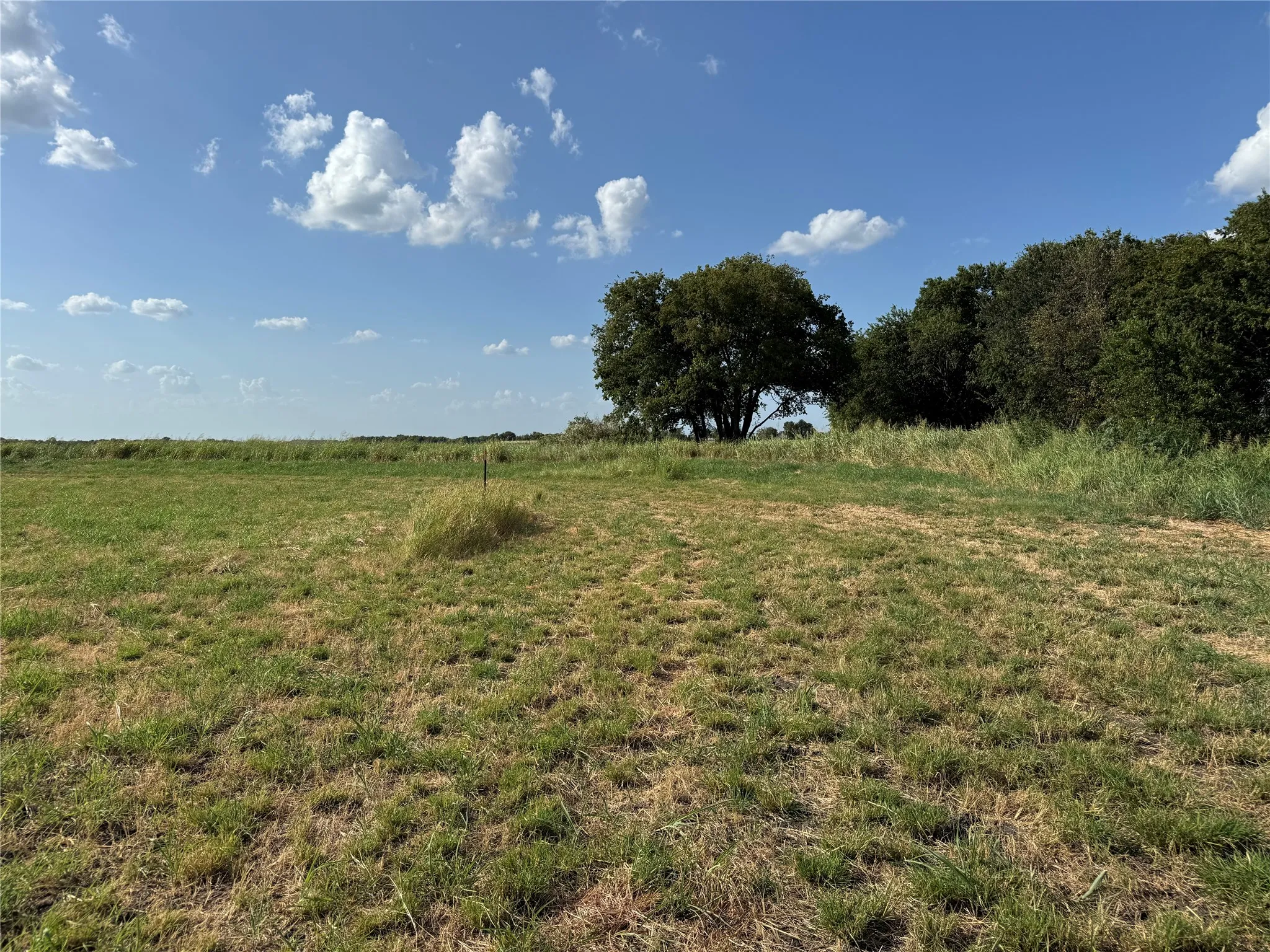 Unimproved Land For Sale in Fannin County , Tract 8, 13.103 Acres County Rd 3700, Leonard, Texas 75452, 0, 0, Garage spaces, 0 Sqft, built in 0, mls#21365180, Real Estate Agent in Leonard, Homes For Sale in Fannin county, Homes For Sale in Leonard, Realtor in Leonard Texas, Real Estate Brokerage Independent Realty Texas, Luminita Cordes Realtor