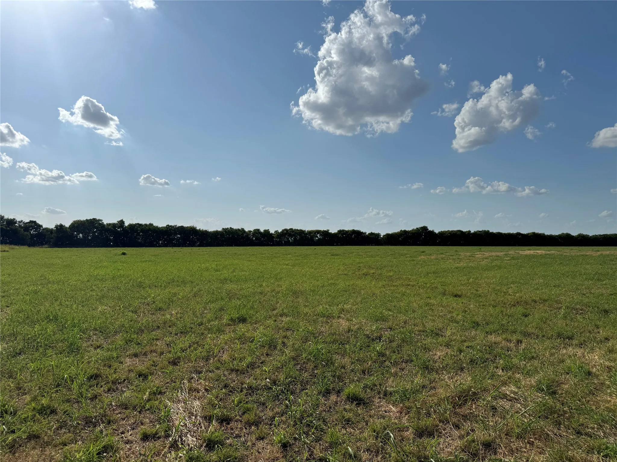 Expansive open field with green ground cover and a distant tree line