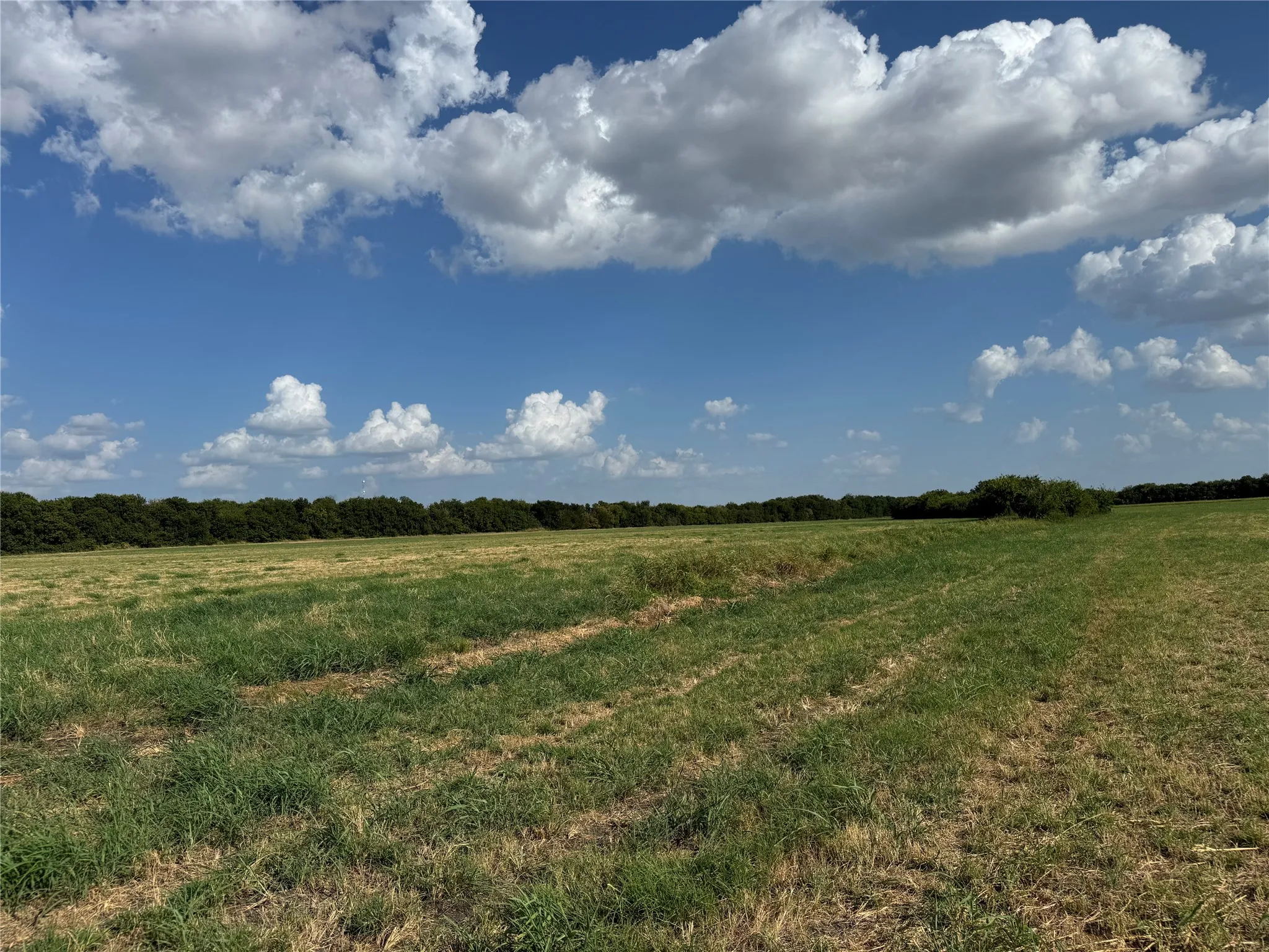 Expansive land parcel featuring open fields and distant tree lines