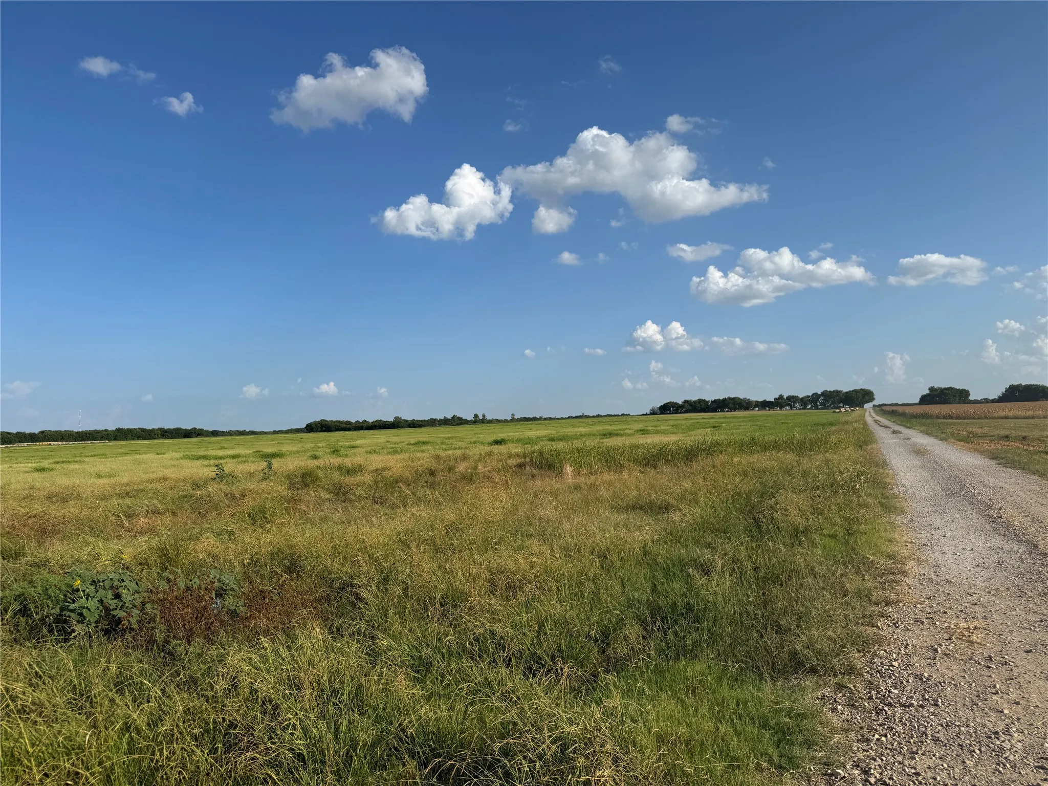 Unimproved Land For Sale in Fannin County , Tract 8, 13.103 Acres County Rd 3700, Leonard, Texas 75452, 0, 0, Garage spaces, 0 Sqft, built in 0, mls#21365180, Real Estate Agent in Leonard, Homes For Sale in Fannin county, Homes For Sale in Leonard, Realtor in Leonard Texas, Real Estate Brokerage Independent Realty Texas, Luminita Cordes Realtor
