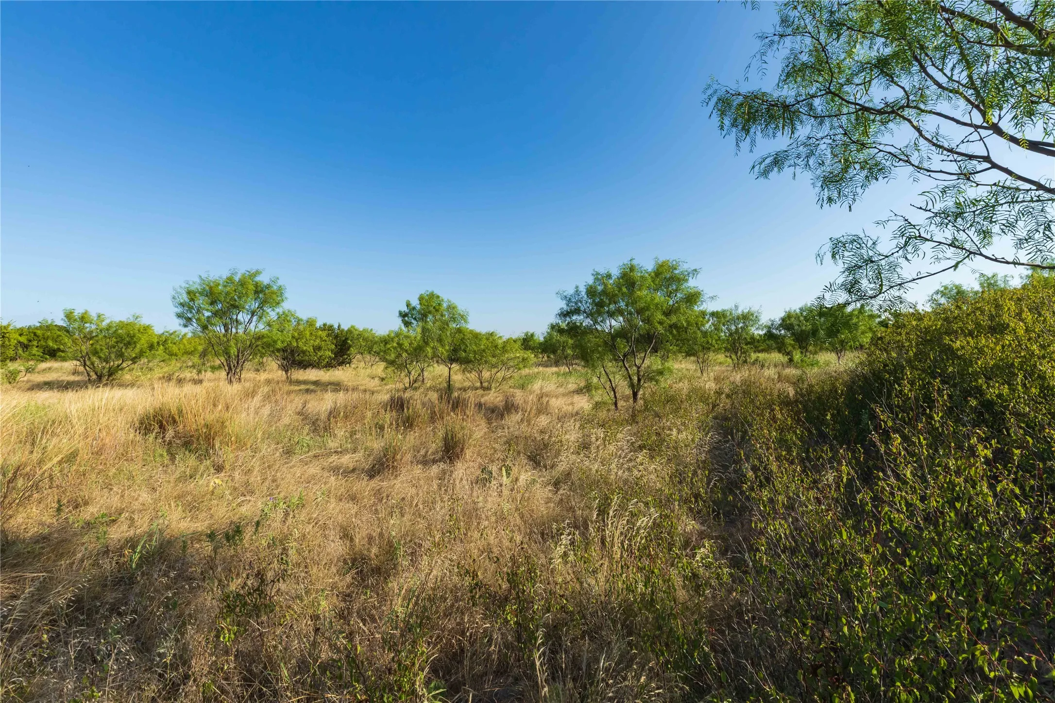 Unimproved Land For Sale in Taylor County , TBD CR 250 US-83, Ovalo, Texas 79541, 0, 0, Garage spaces, 0 Sqft, built in 0, mls#21365538, Real Estate Agent in Ovalo, Homes For Sale in Taylor county, Homes For Sale in Ovalo, Realtor in Ovalo Texas, Real Estate Brokerage Independent Realty Texas, Luminita Cordes Realtor