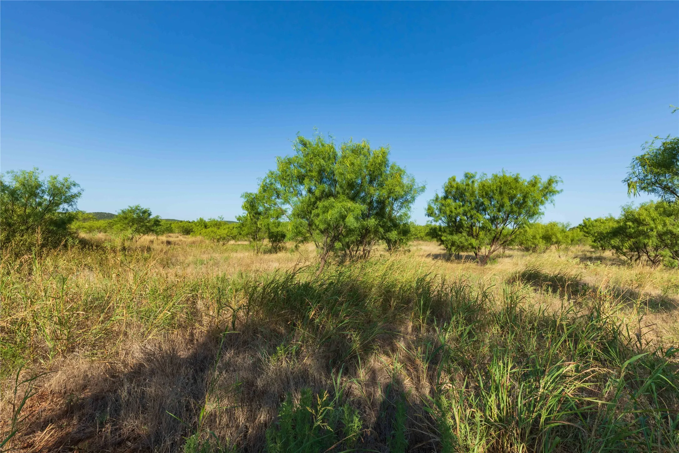Unimproved Land For Sale in Taylor County , TBD CR 250 US-83, Ovalo, Texas 79541, 0, 0, Garage spaces, 0 Sqft, built in 0, mls#21365538, Real Estate Agent in Ovalo, Homes For Sale in Taylor county, Homes For Sale in Ovalo, Realtor in Ovalo Texas, Real Estate Brokerage Independent Realty Texas, Luminita Cordes Realtor