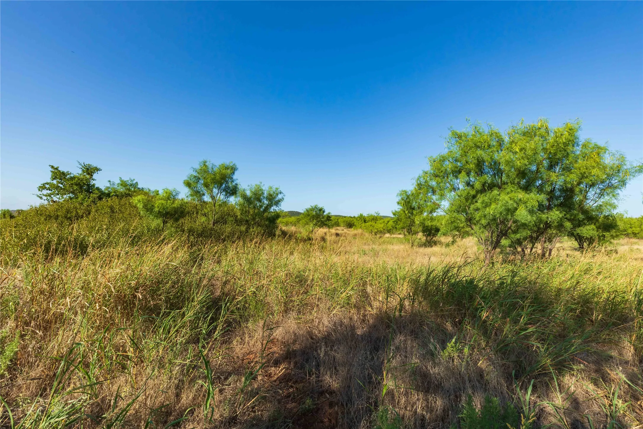 Unimproved Land For Sale in Taylor County , TBD CR 250 US-83, Ovalo, Texas 79541, 0, 0, Garage spaces, 0 Sqft, built in 0, mls#21365538, Real Estate Agent in Ovalo, Homes For Sale in Taylor county, Homes For Sale in Ovalo, Realtor in Ovalo Texas, Real Estate Brokerage Independent Realty Texas, Luminita Cordes Realtor