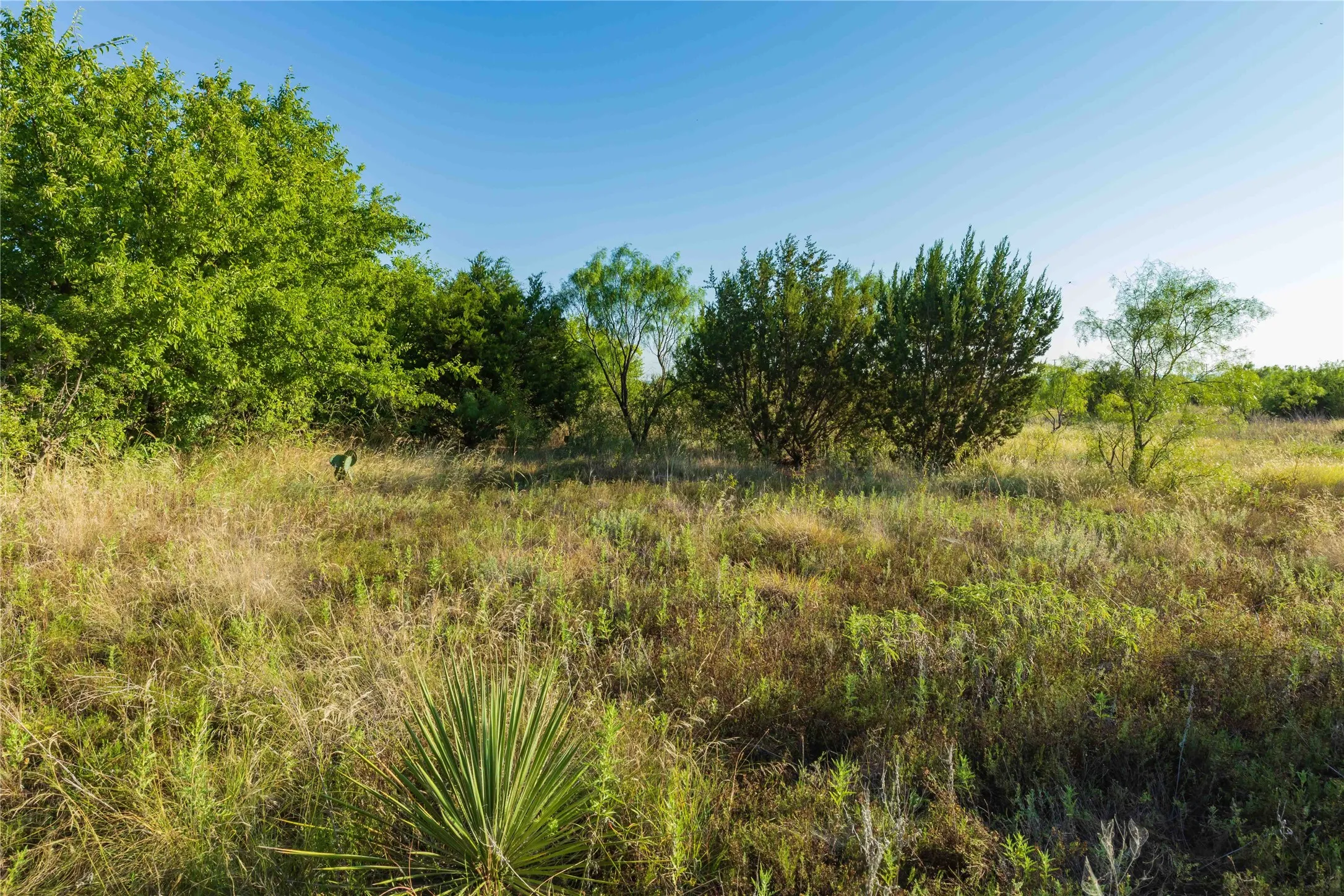 Unimproved Land For Sale in Taylor County , TBD CR 250 US-83, Ovalo, Texas 79541, 0, 0, Garage spaces, 0 Sqft, built in 0, mls#21365538, Real Estate Agent in Ovalo, Homes For Sale in Taylor county, Homes For Sale in Ovalo, Realtor in Ovalo Texas, Real Estate Brokerage Independent Realty Texas, Luminita Cordes Realtor