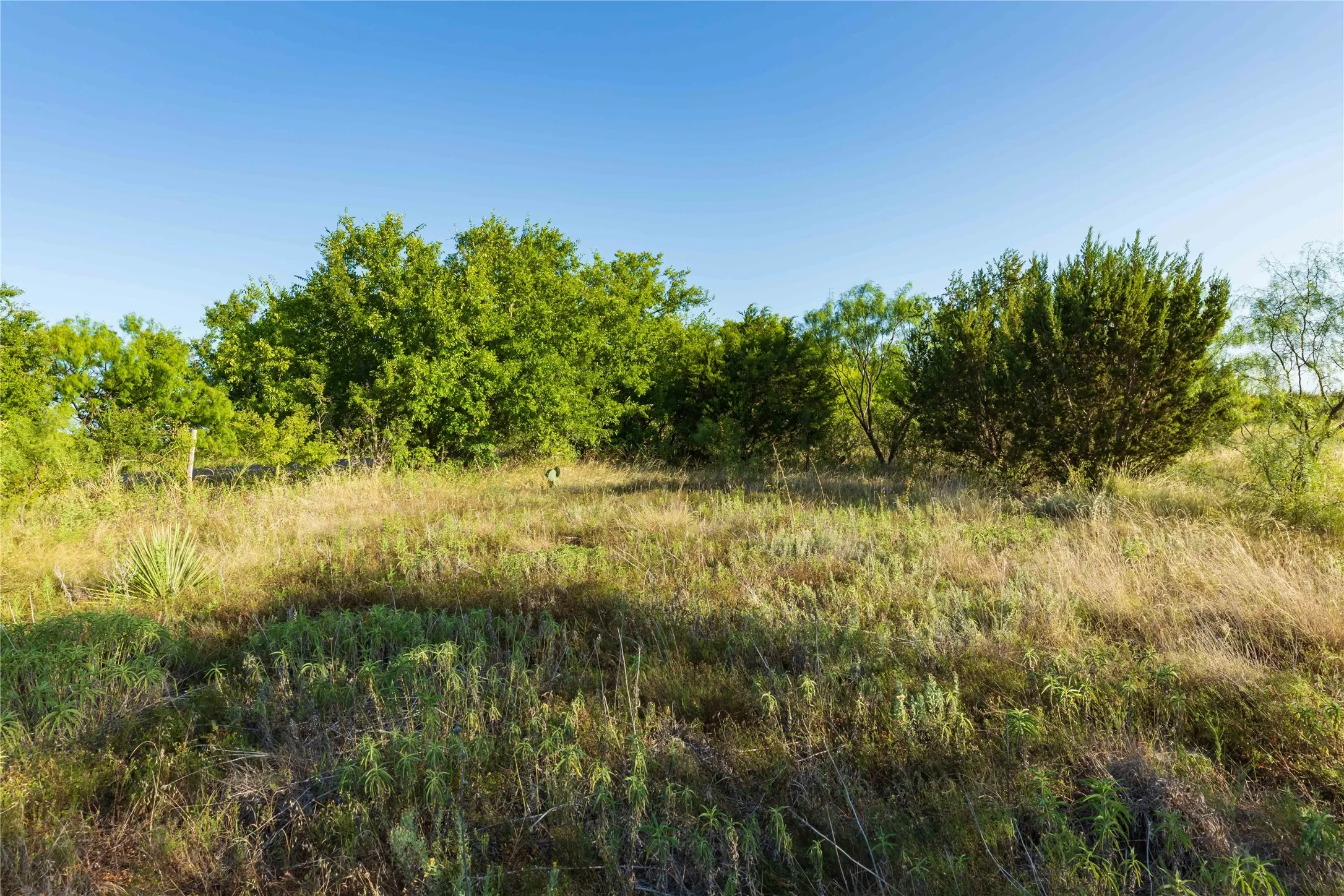 Unimproved Land For Sale in Taylor County , TBD CR 250 US-83, Ovalo, Texas 79541, 0, 0, Garage spaces, 0 Sqft, built in 0, mls#21365538, Real Estate Agent in Ovalo, Homes For Sale in Taylor county, Homes For Sale in Ovalo, Realtor in Ovalo Texas, Real Estate Brokerage Independent Realty Texas, Luminita Cordes Realtor