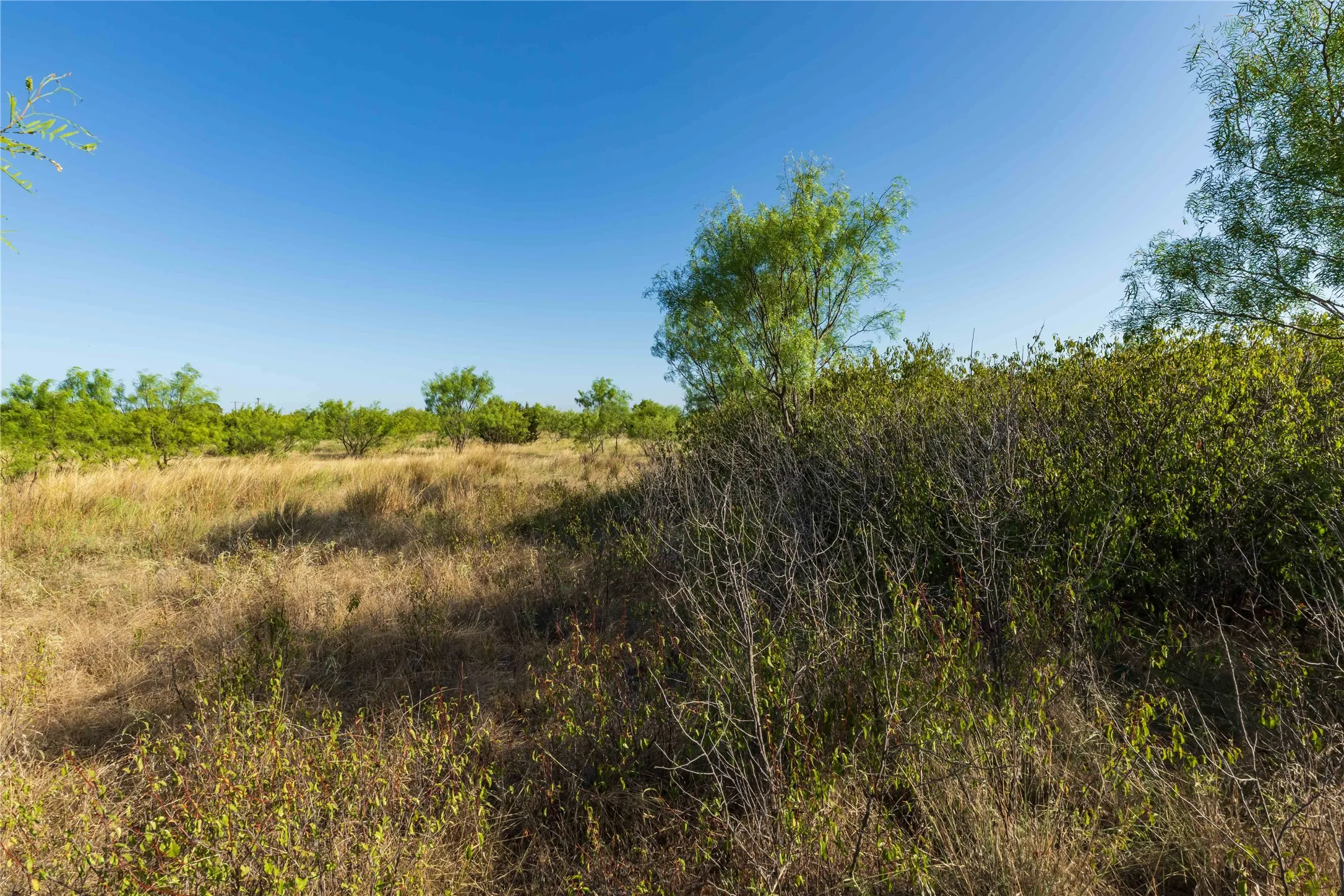 Unimproved Land For Sale in Taylor County , TBD CR 250 US-83, Ovalo, Texas 79541, 0, 0, Garage spaces, 0 Sqft, built in 0, mls#21365538, Real Estate Agent in Ovalo, Homes For Sale in Taylor county, Homes For Sale in Ovalo, Realtor in Ovalo Texas, Real Estate Brokerage Independent Realty Texas, Luminita Cordes Realtor